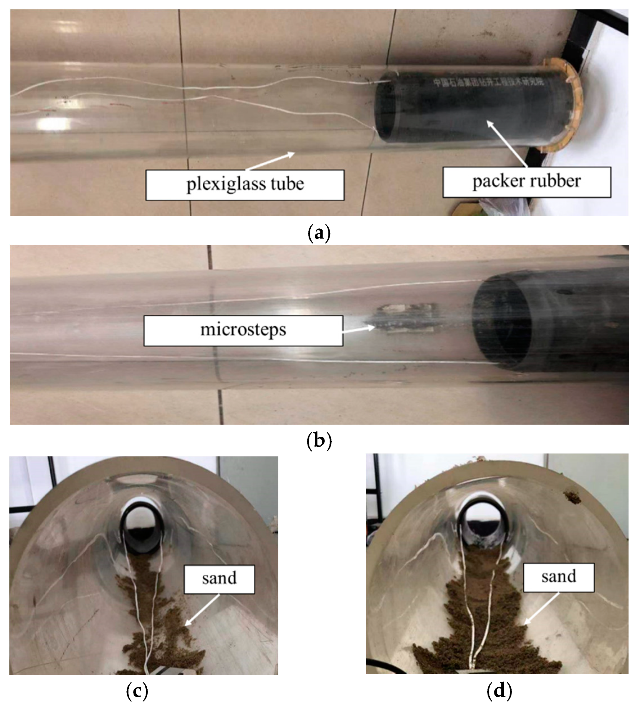 Coatings 10 00657 g002