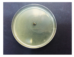 Coatings 10 00659 i001