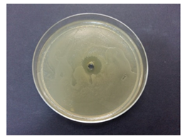 Coatings 10 00659 i003