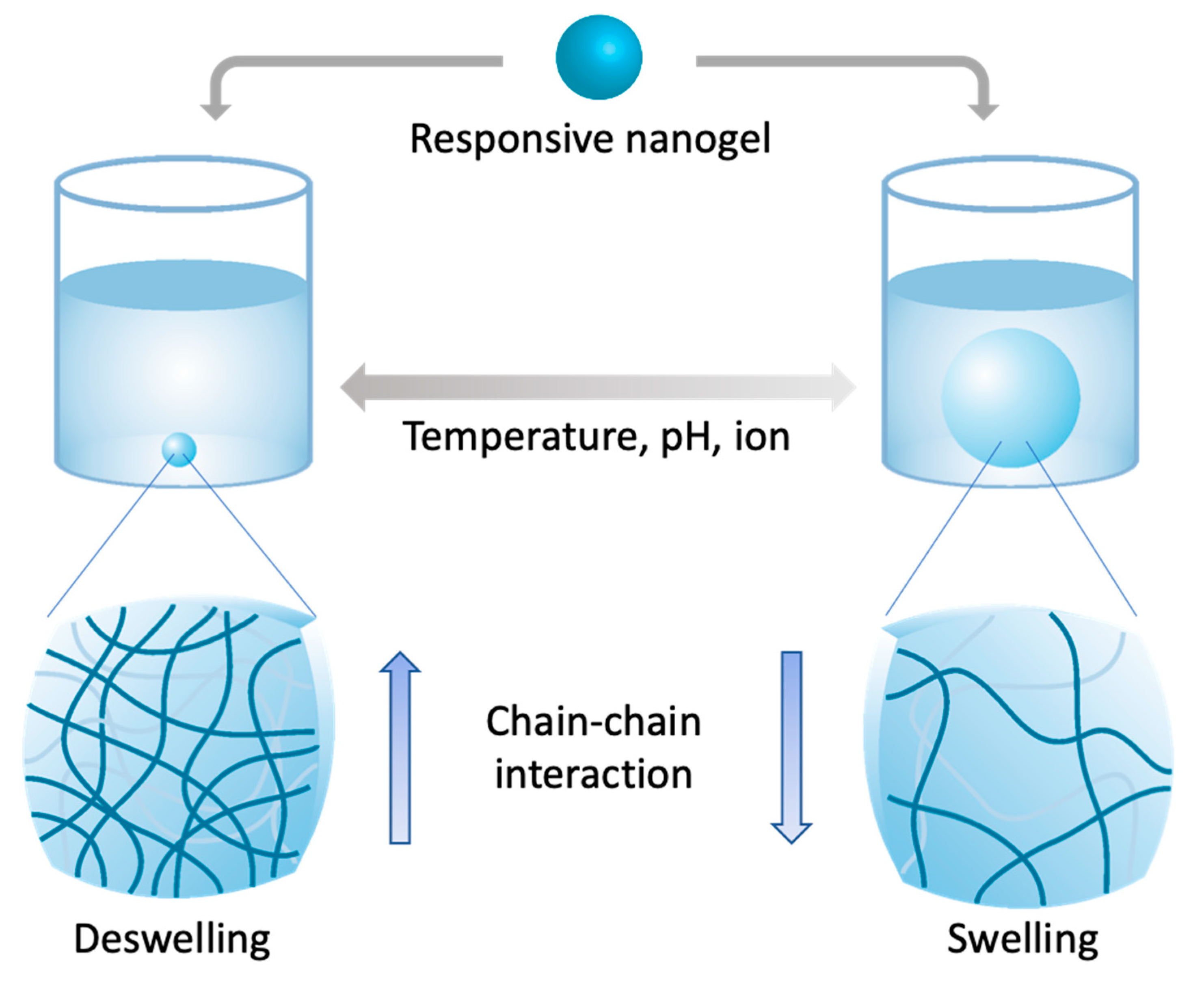 Coatings 10 00663 g003