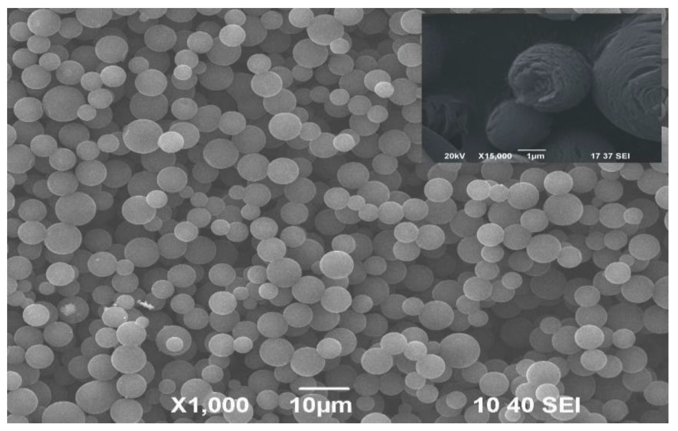 Coatings 10 00665 g001