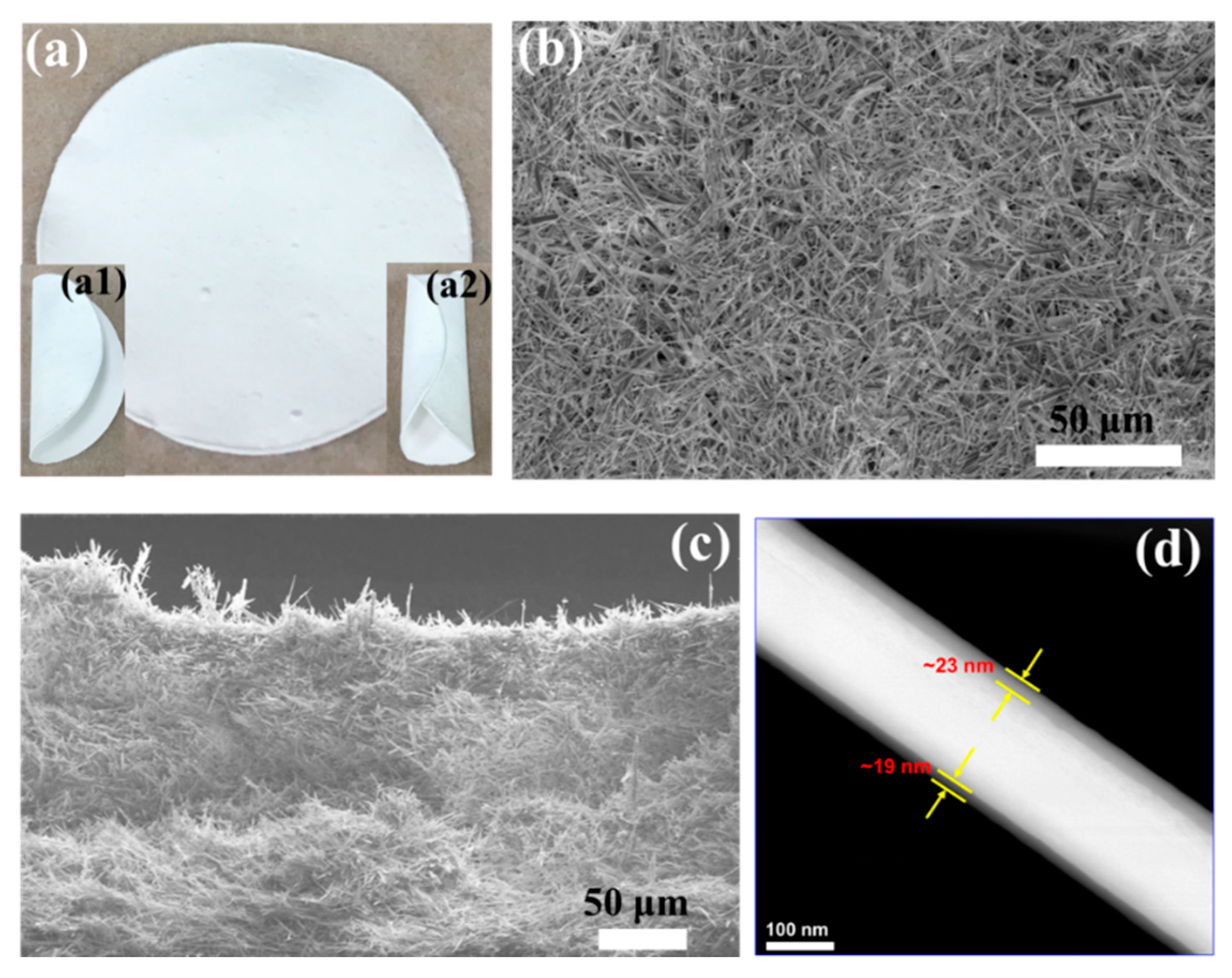 Coatings 10 00670 g005 Coatings 10 00670 g005