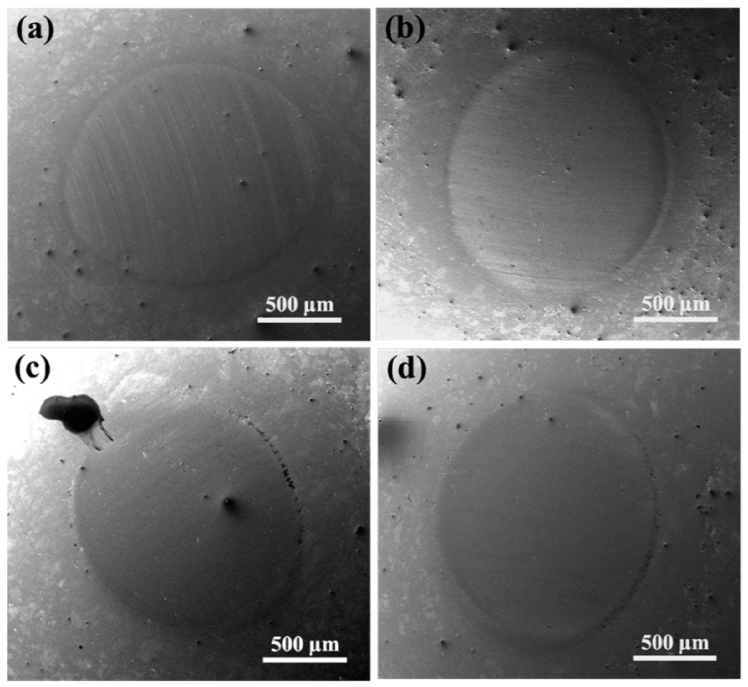 Coatings 10 00671 g011 Coatings 10 00671 g011
