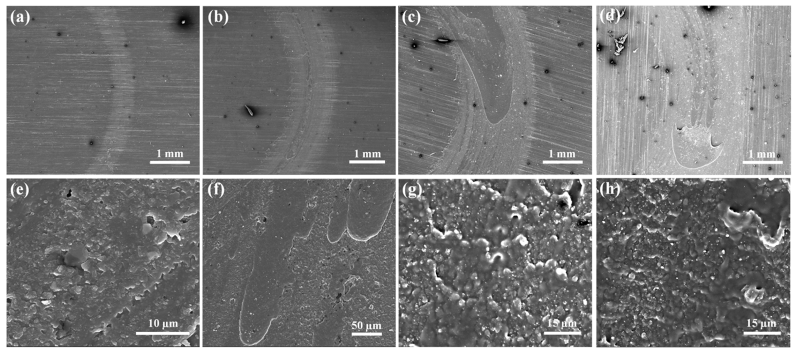 Coatings 10 00671 g013 Coatings 10 00671 g013
