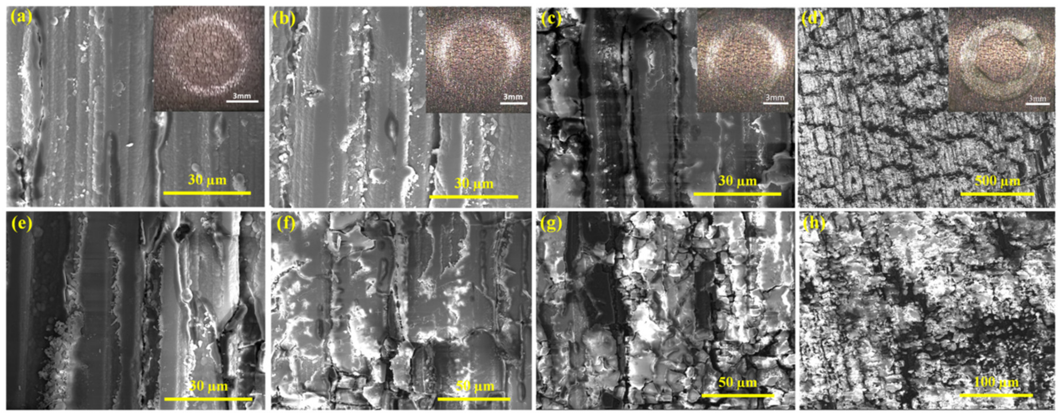 Coatings 10 00671 g014 Coatings 10 00671 g014