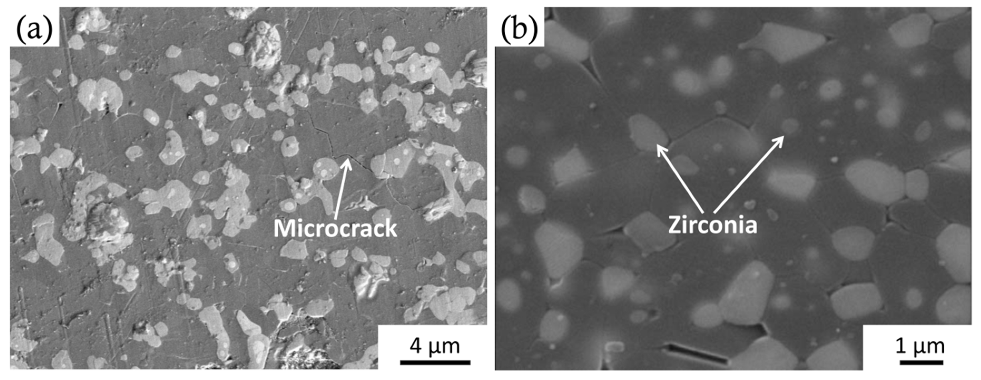 Coatings 10 00672 g006
