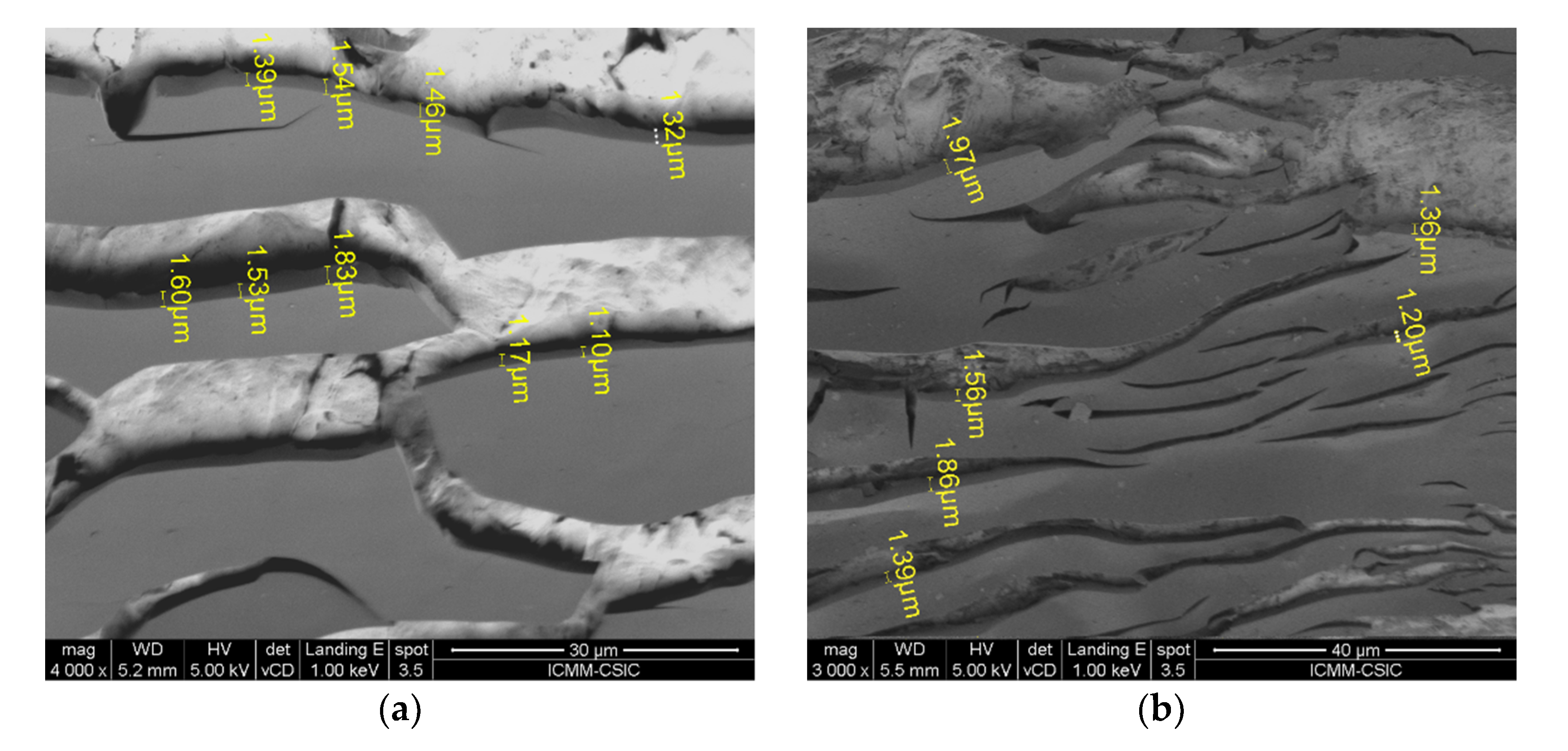 Coatings 10 00677 g008