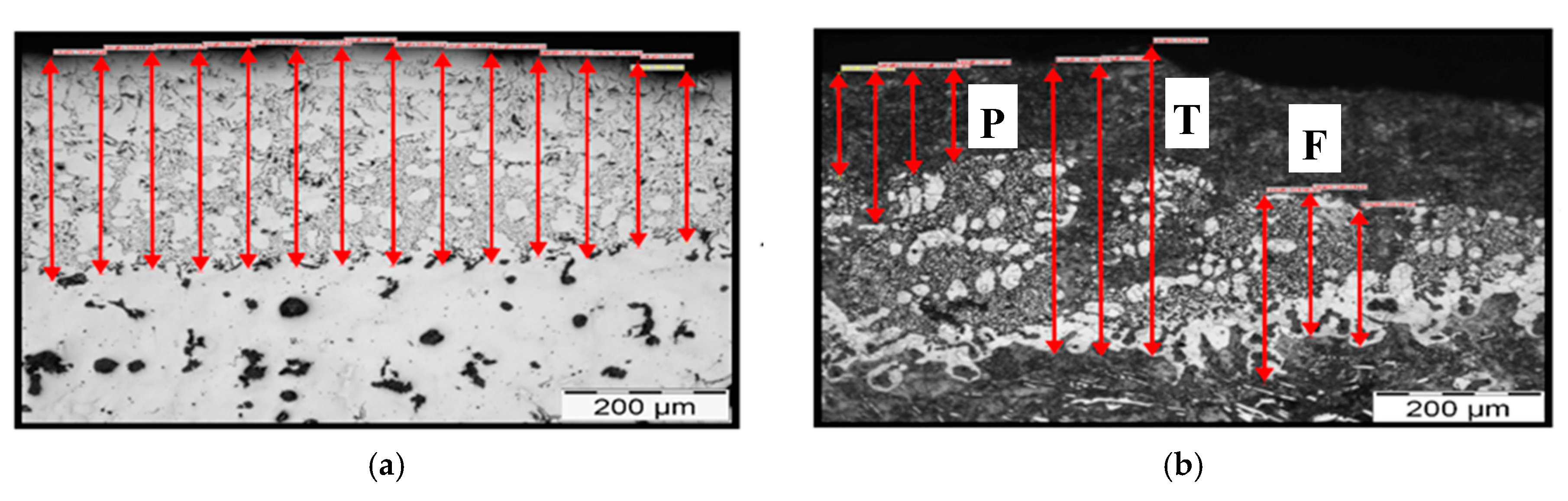 Coatings 10 00680 g003