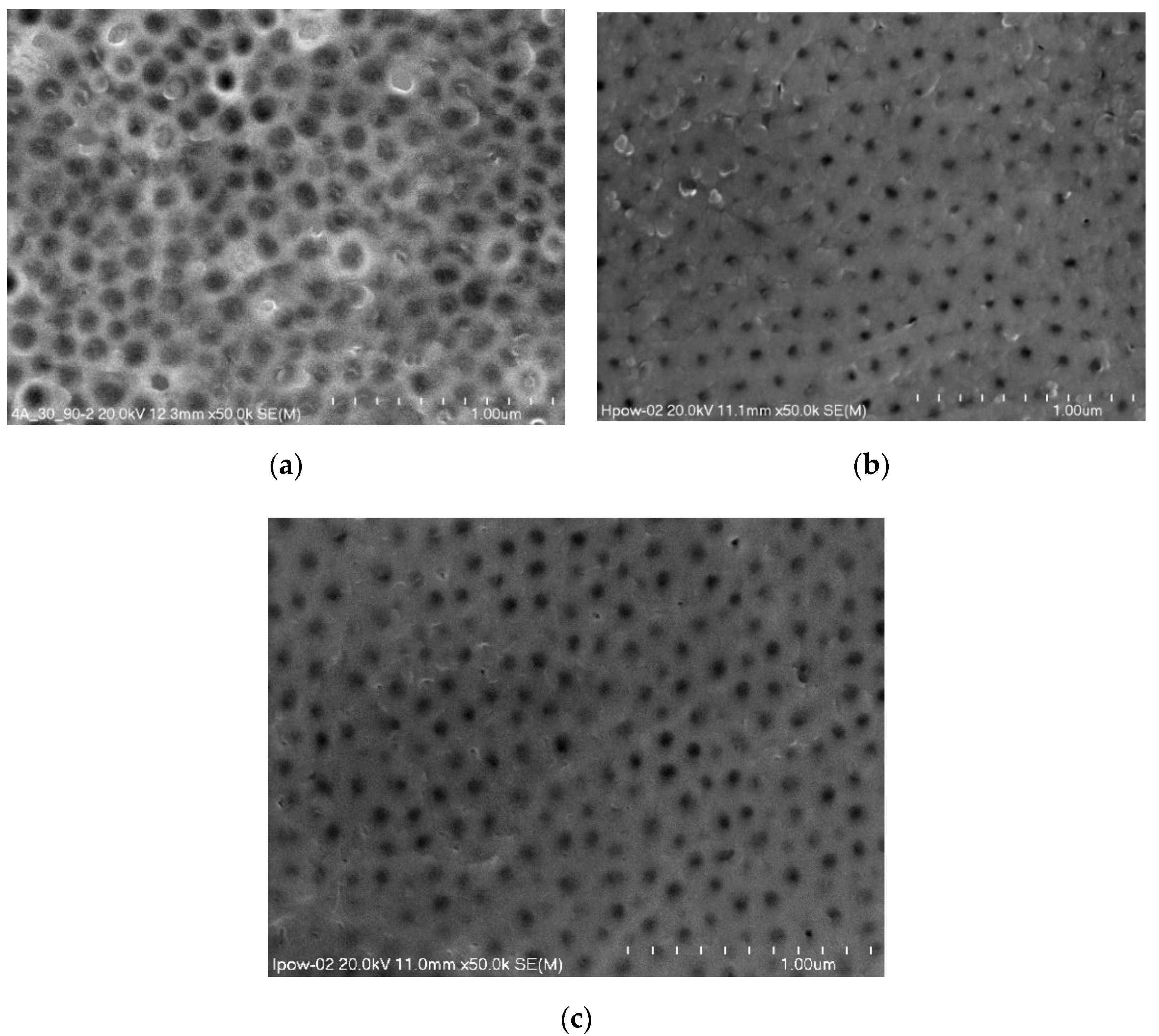 Coatings 10 00681 g003 Coatings 10 00681 g003