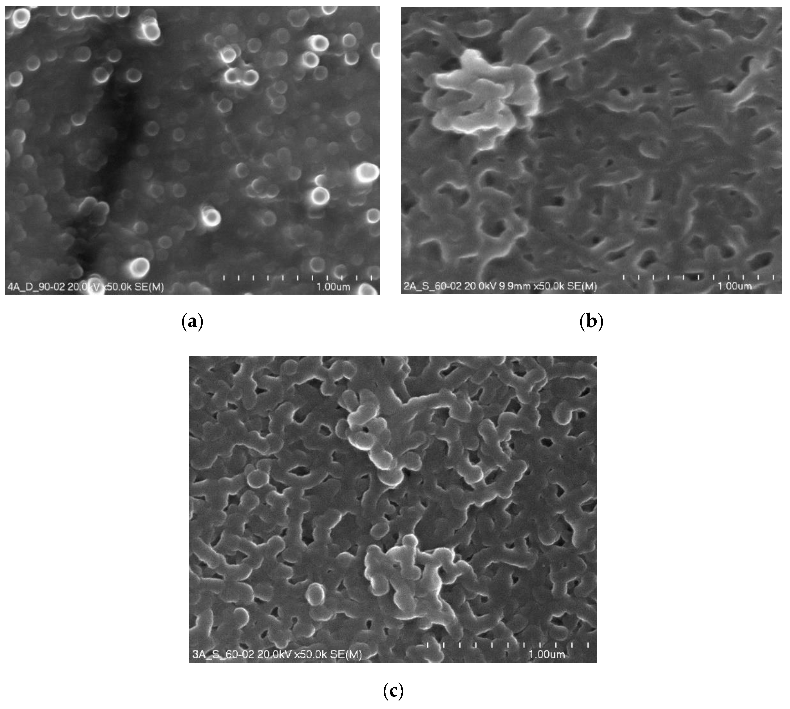 Coatings 10 00681 g004 Coatings 10 00681 g004