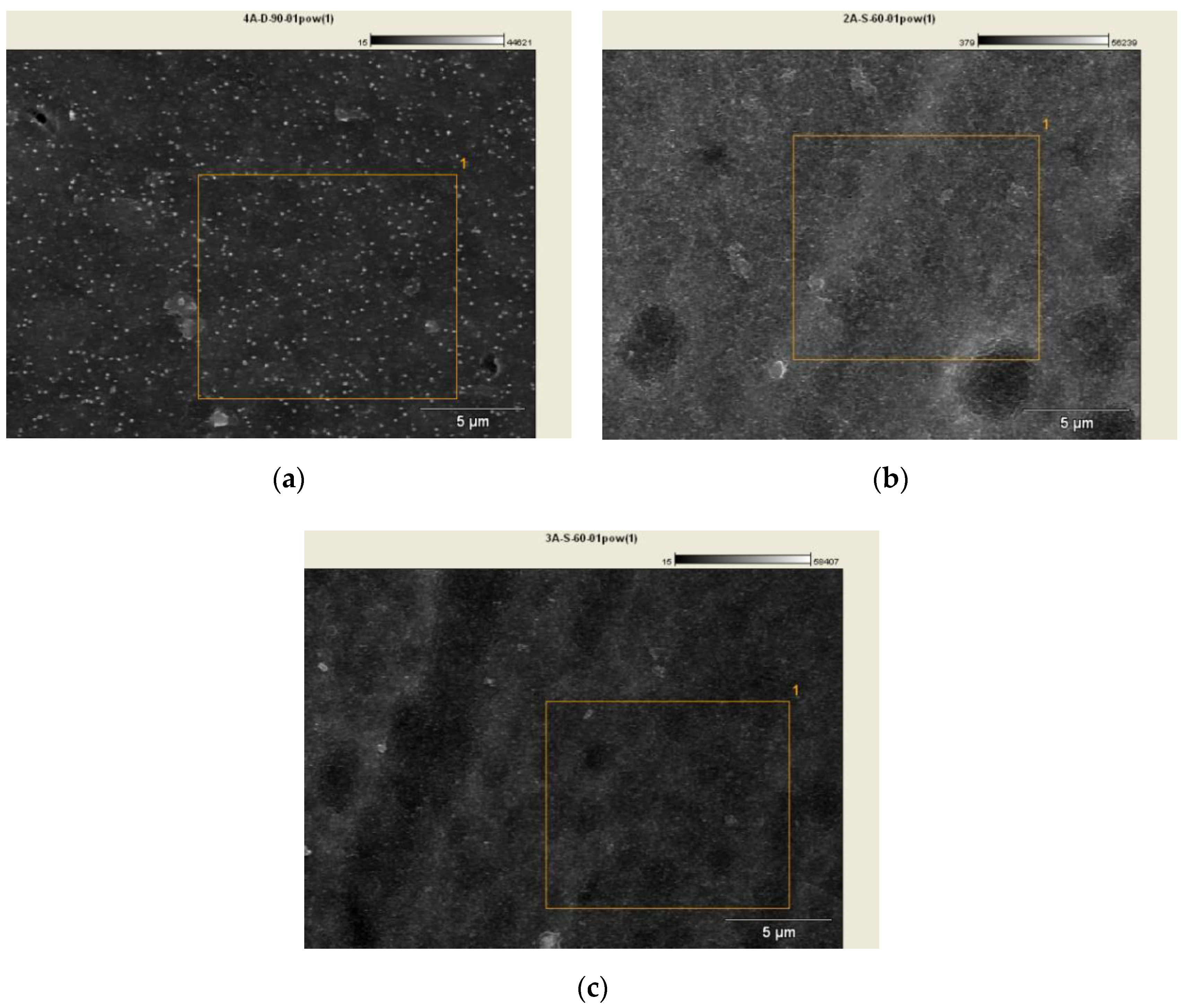 Coatings 10 00681 g005 Coatings 10 00681 g005