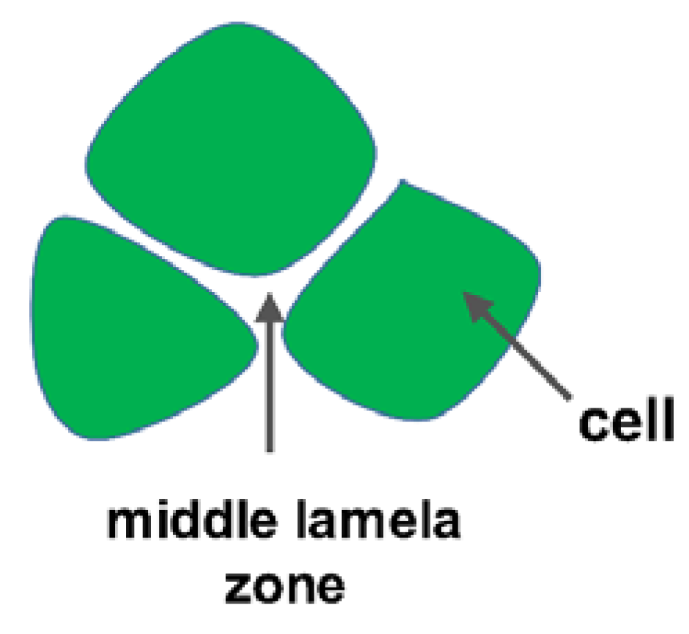 Coatings 10 00687 g004