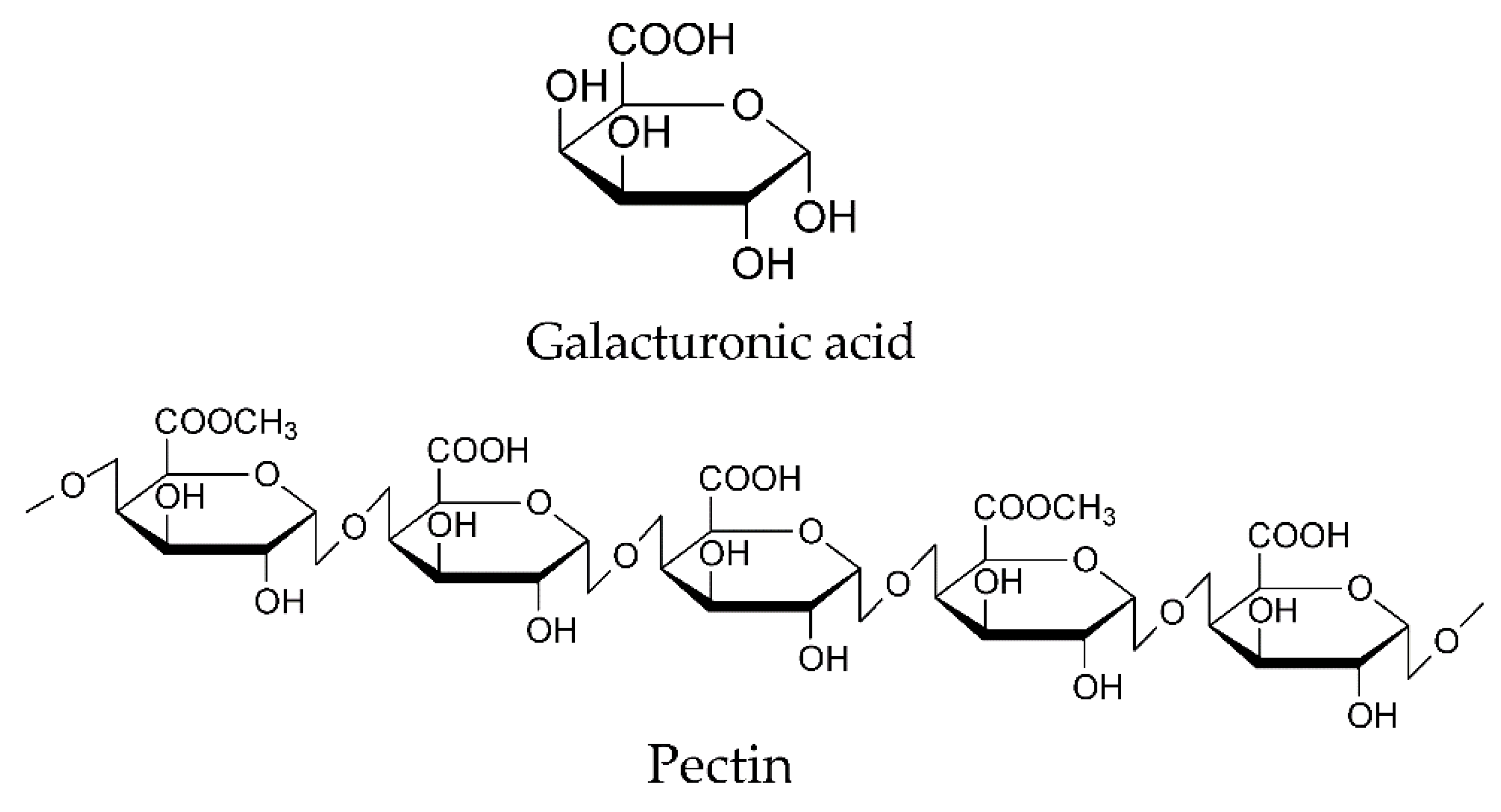 Coatings 10 00687 g005