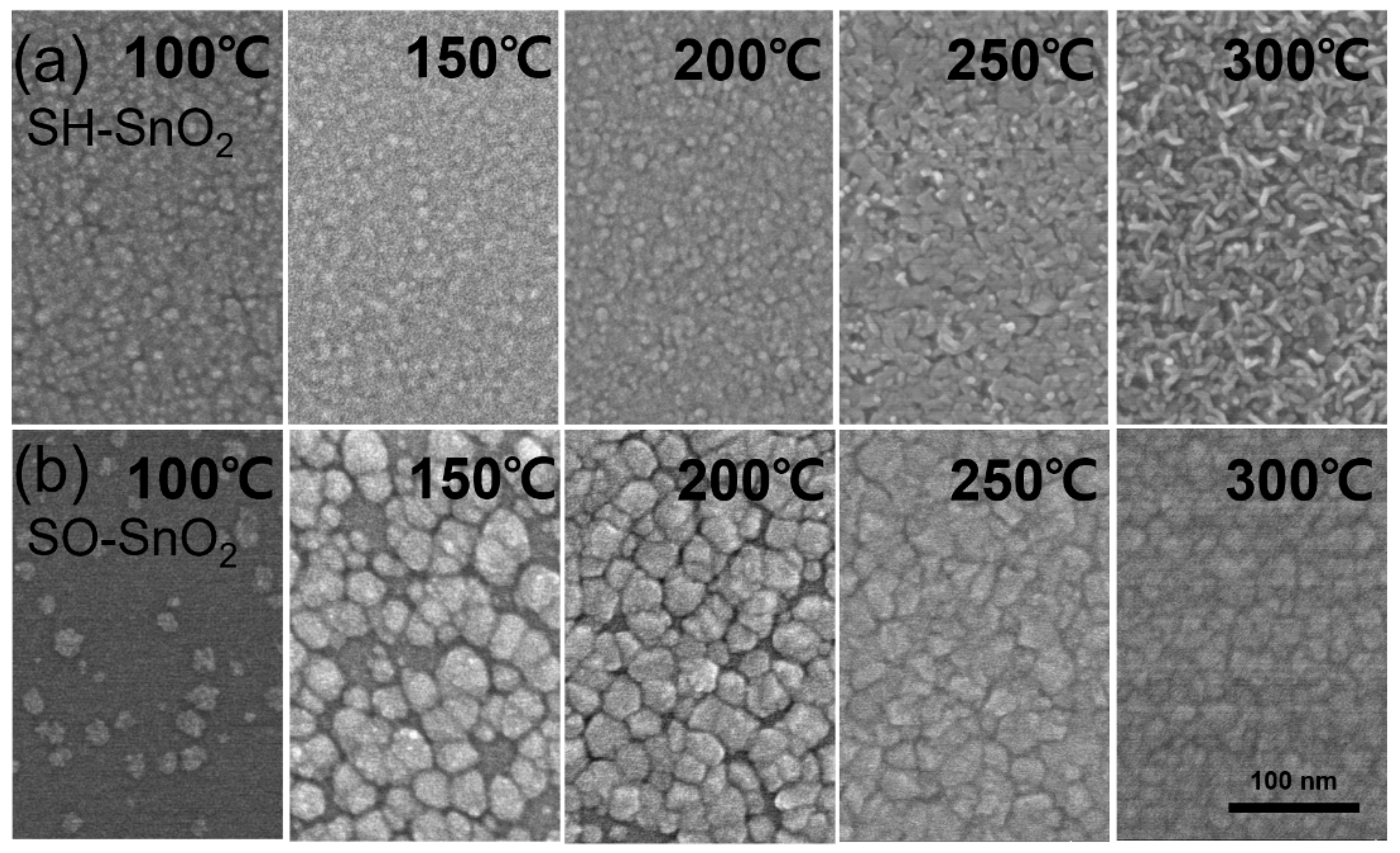 Coatings 10 00692 g007