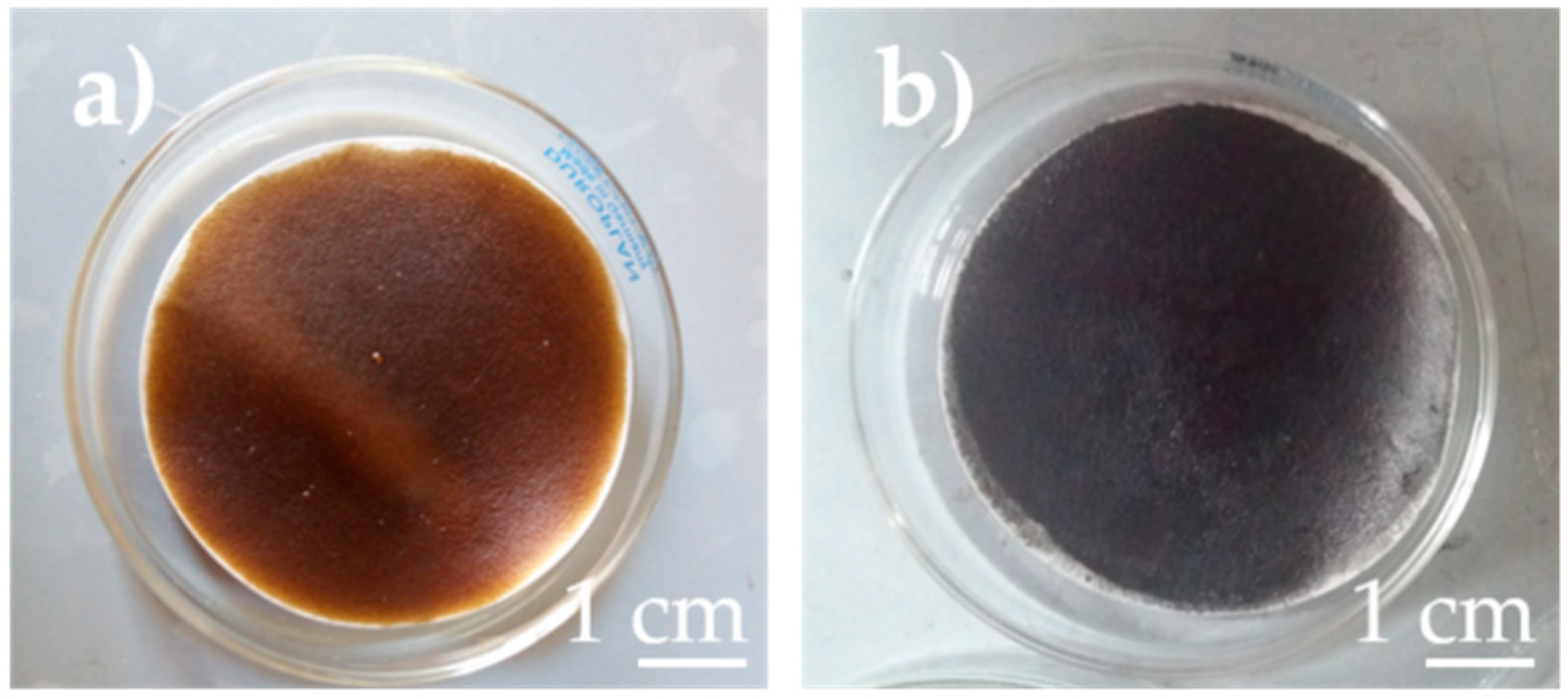 Coatings 10 00693 g002