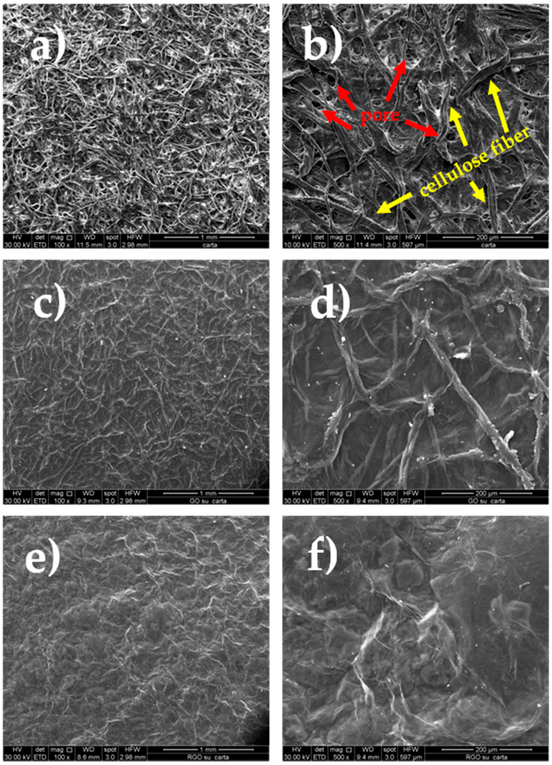 Coatings 10 00693 g006