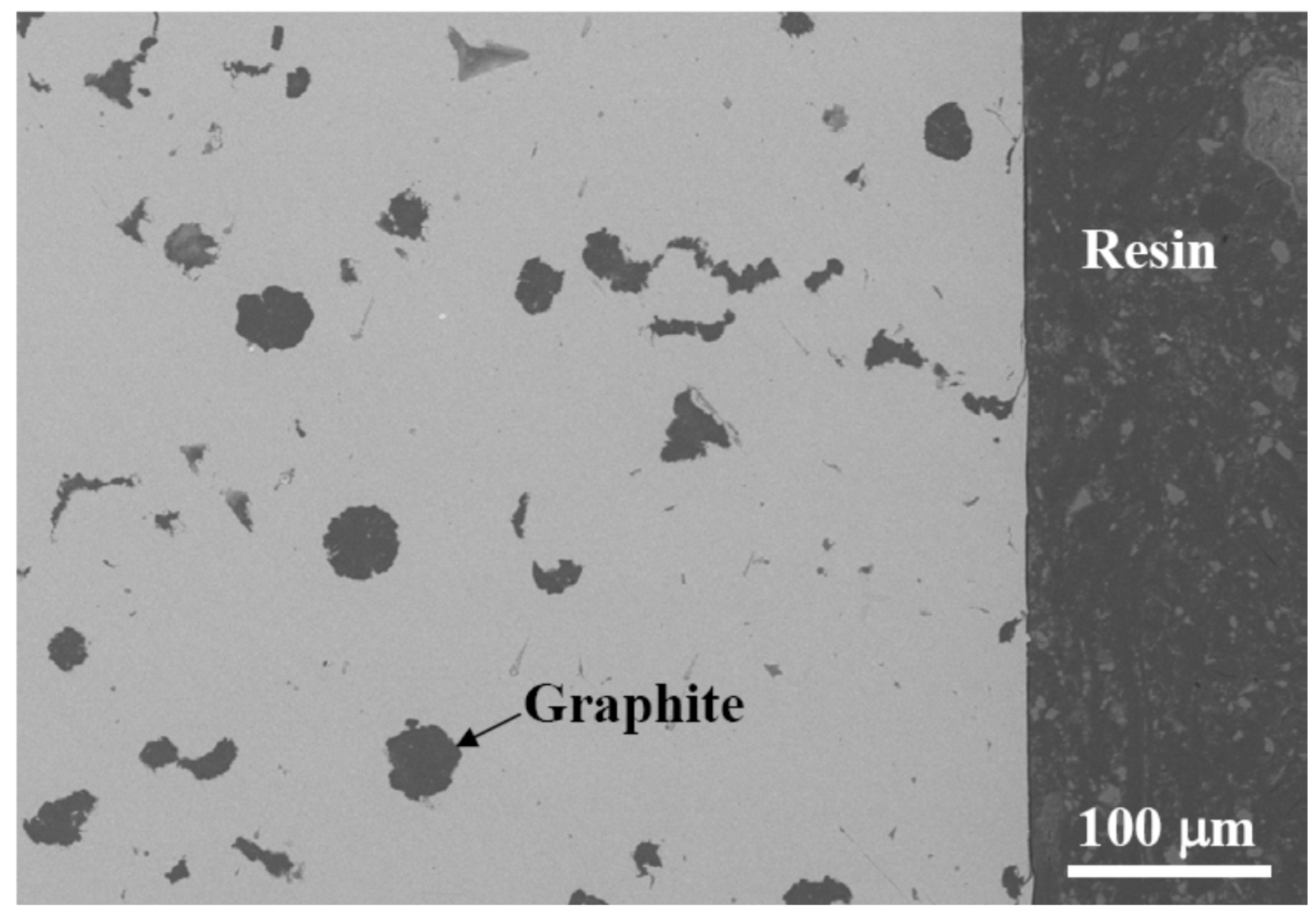 Coatings 10 00705 g001 Coatings 10 00705 g001