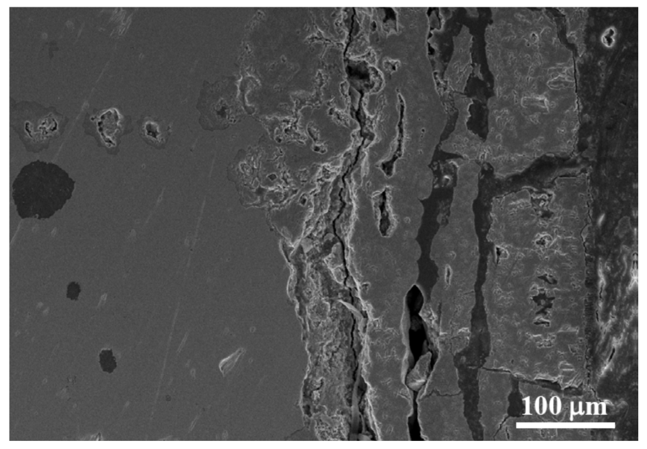 Coatings 10 00705 g003 Coatings 10 00705 g003