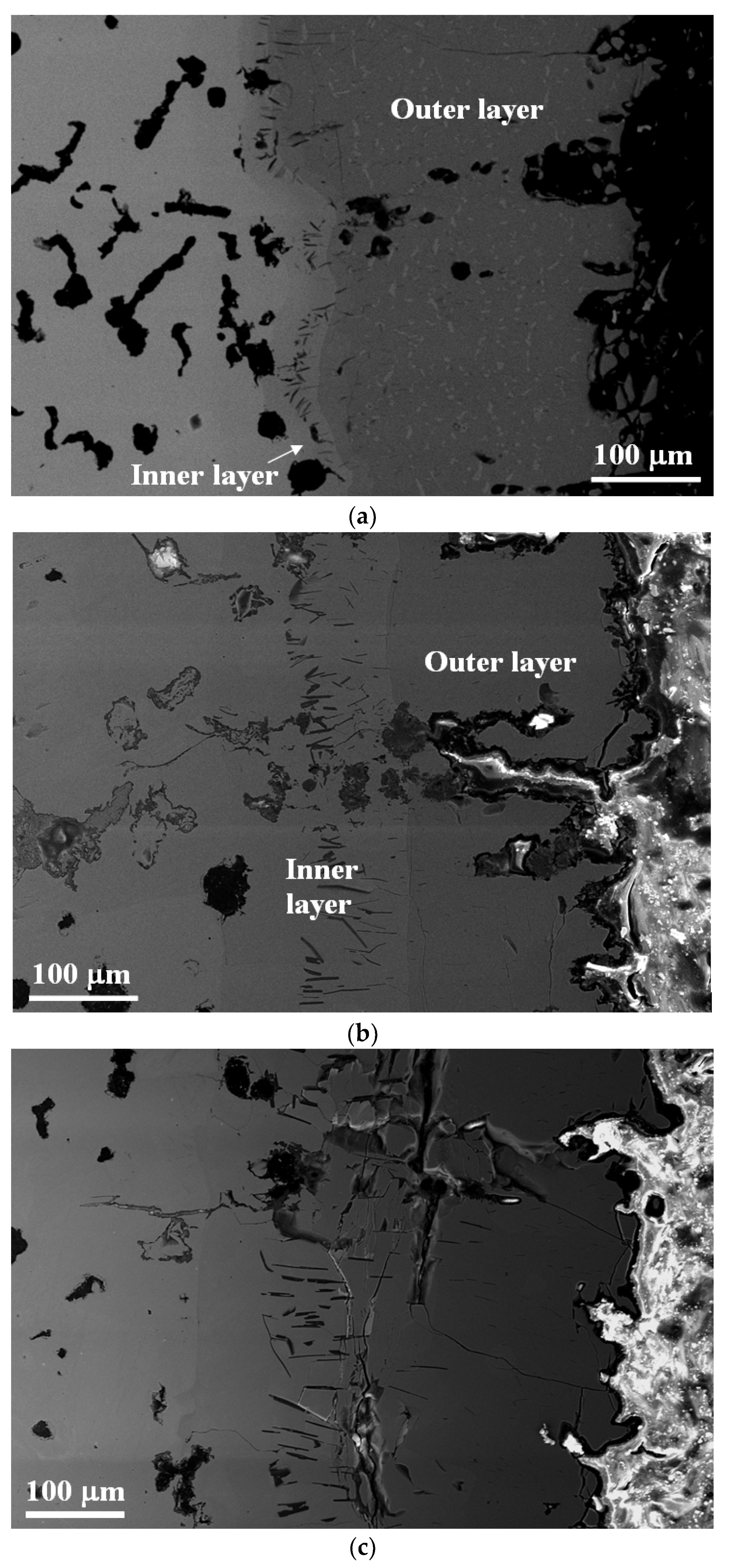 Coatings 10 00705 g006 Coatings 10 00705 g006
