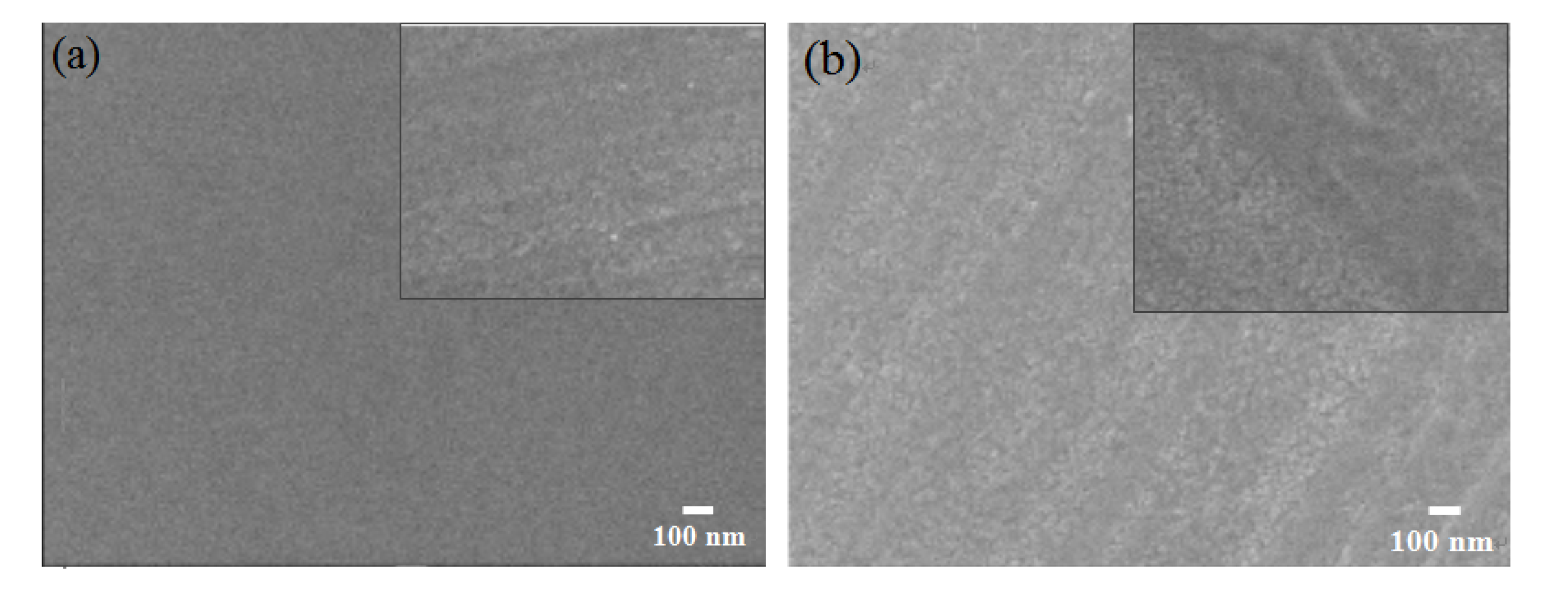 Coatings 10 00708 g006