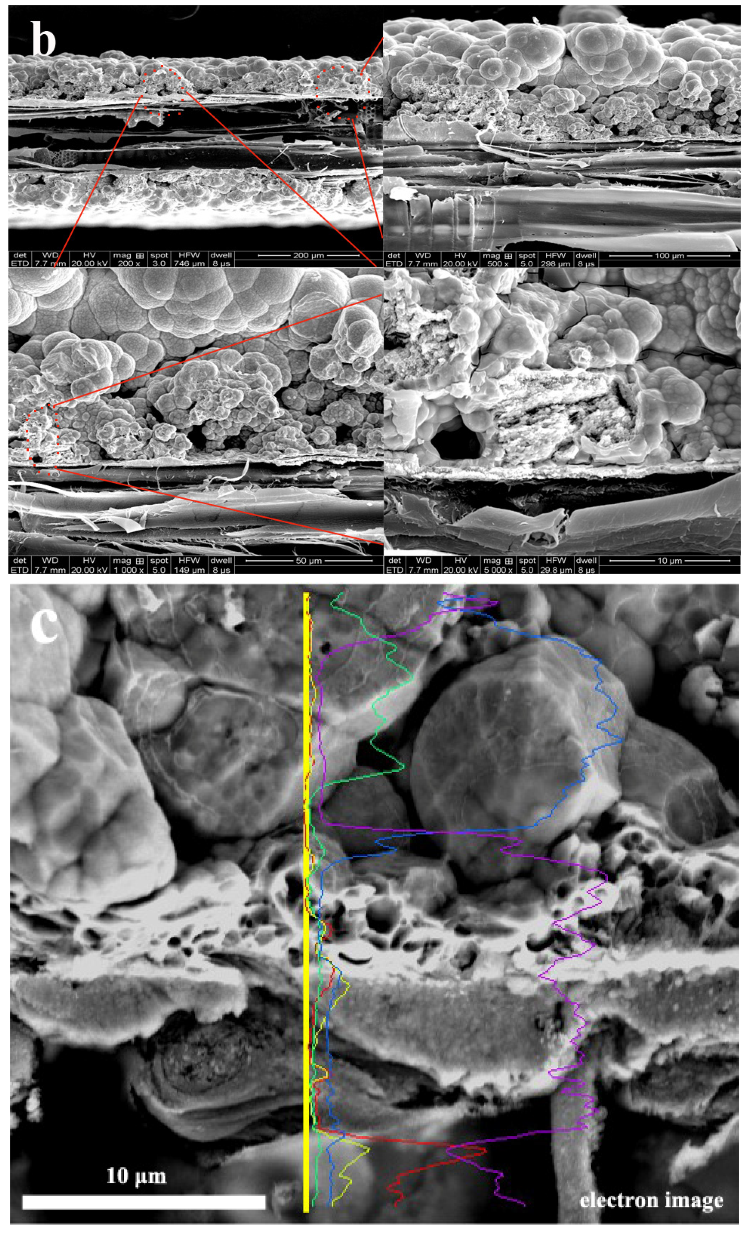 Coatings 10 00740 g002b