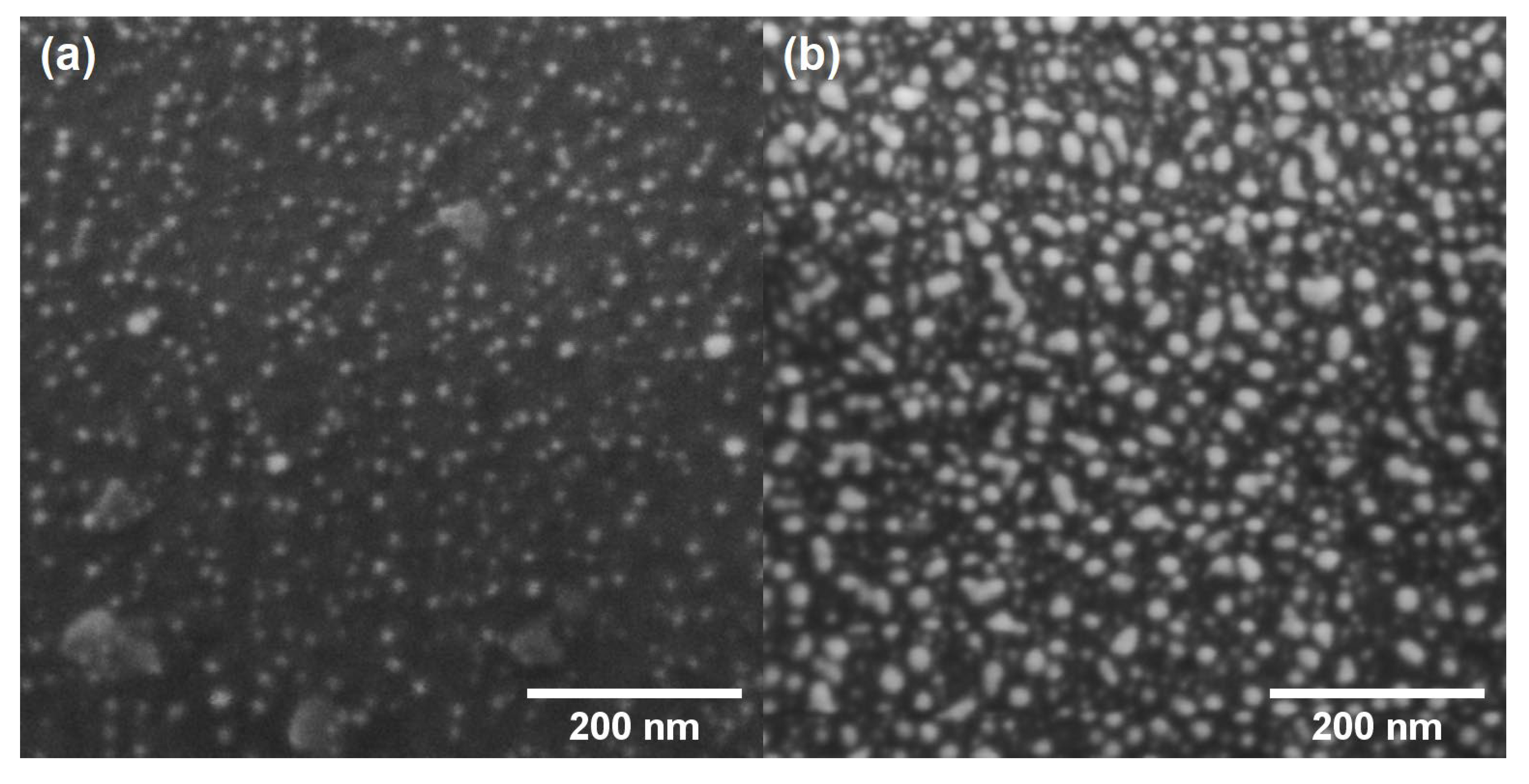 Coatings 10 00746 g001