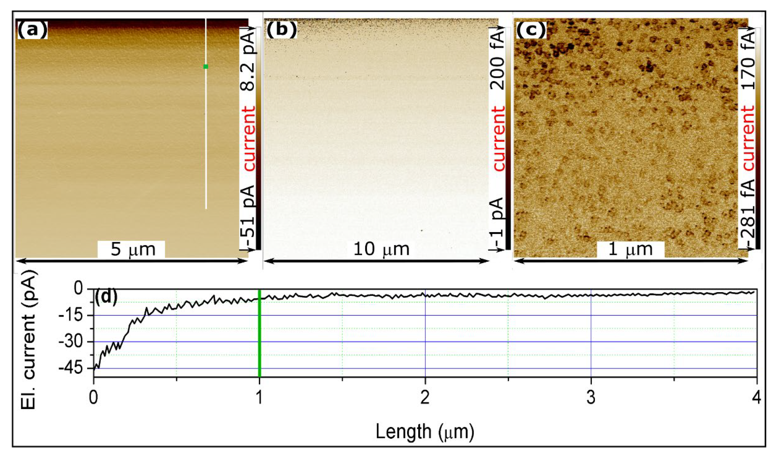 Coatings 10 00746 g005