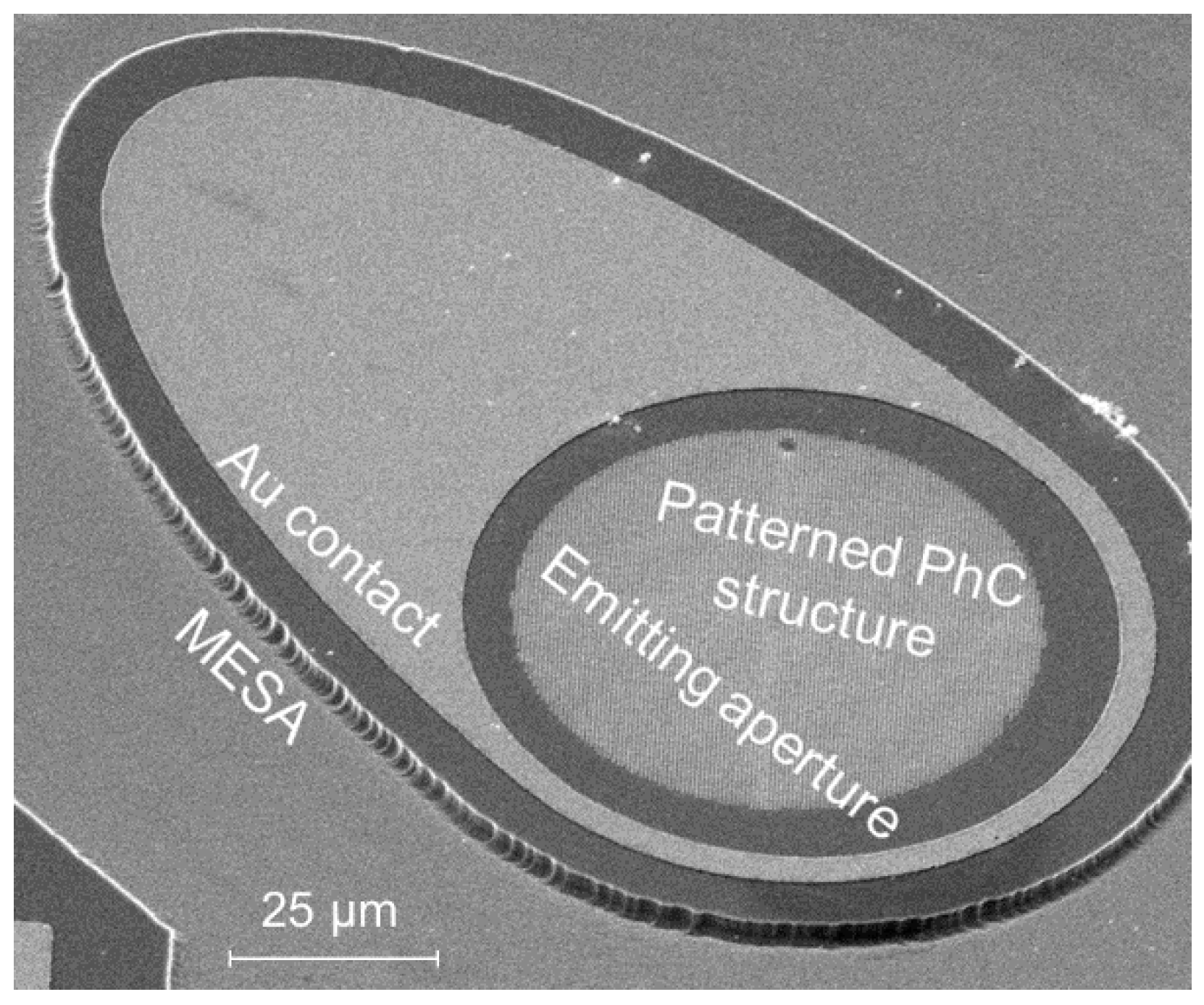 Coatings 10 00748 g001