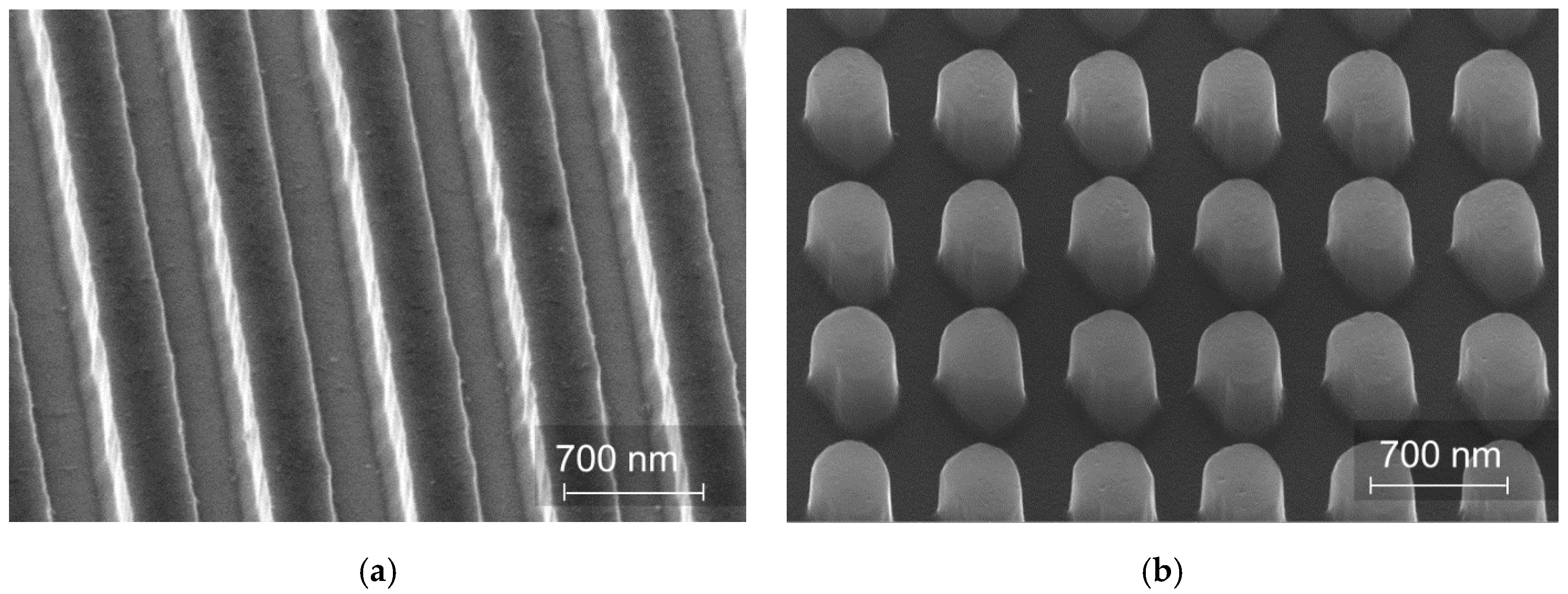 Coatings 10 00748 g002