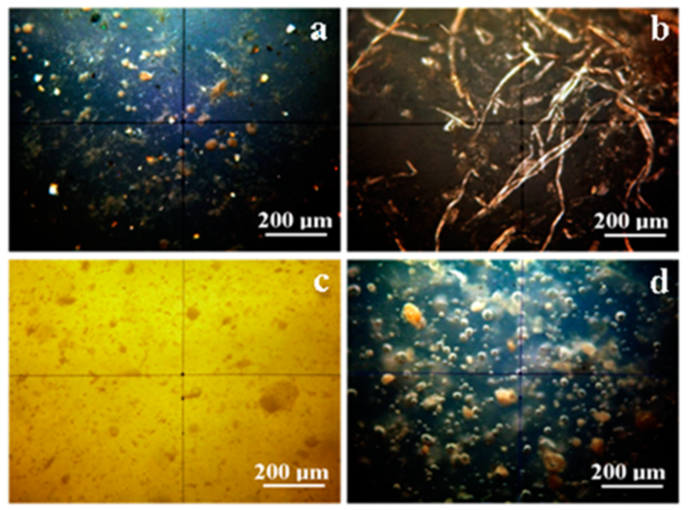 Coatings 10 00749 g001
