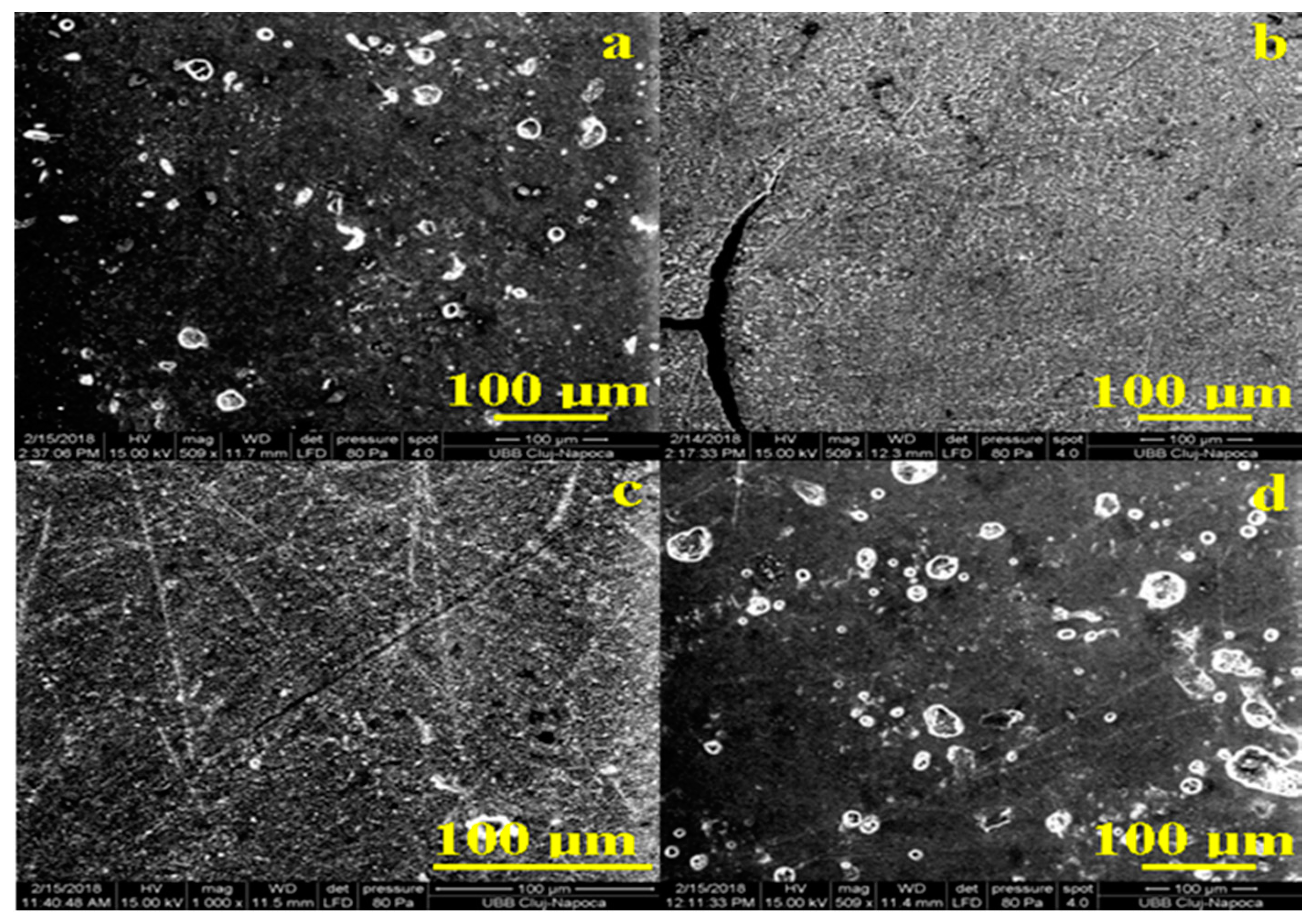 Coatings 10 00749 g003