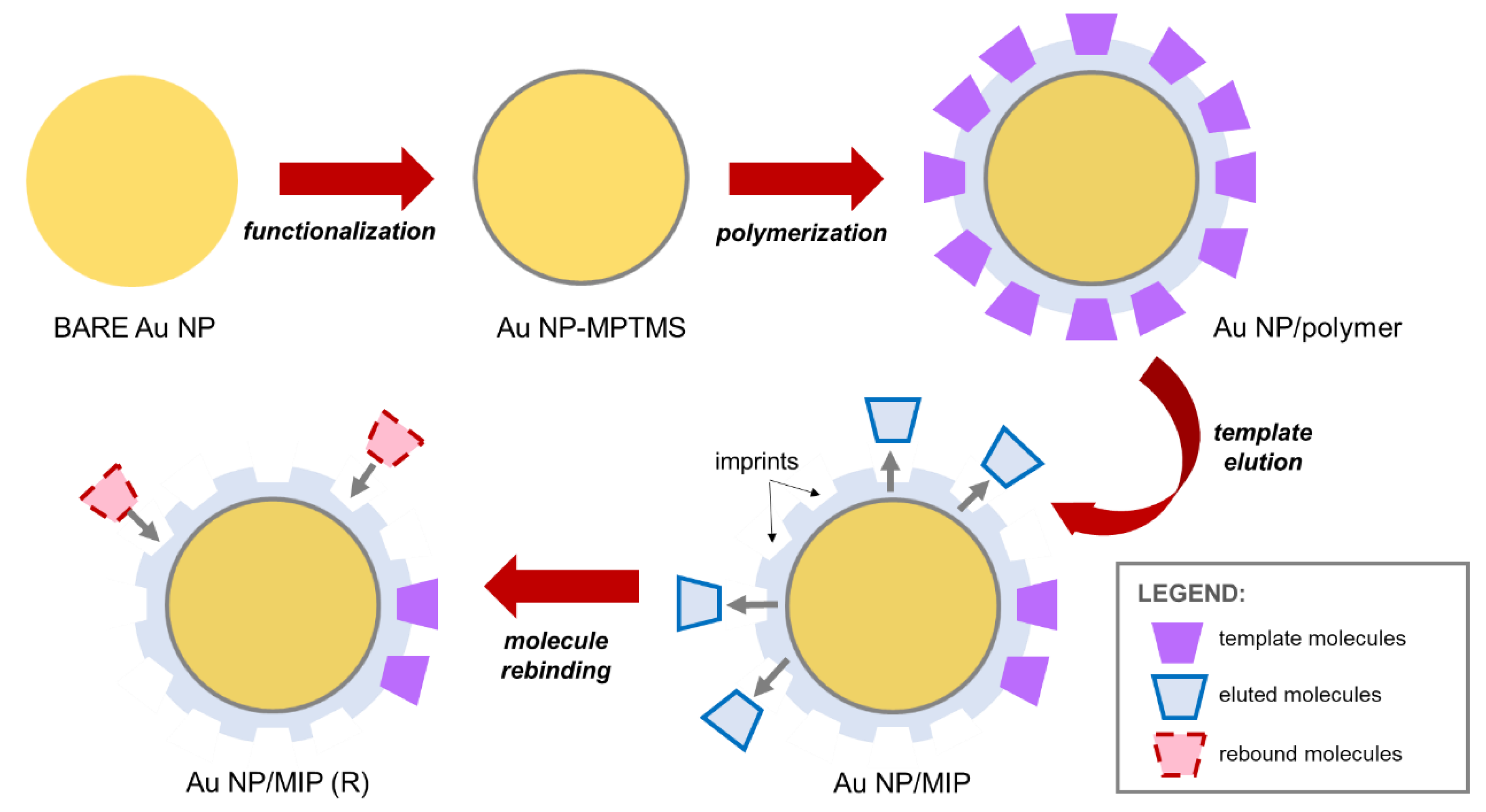 Coatings 10 00751 g005