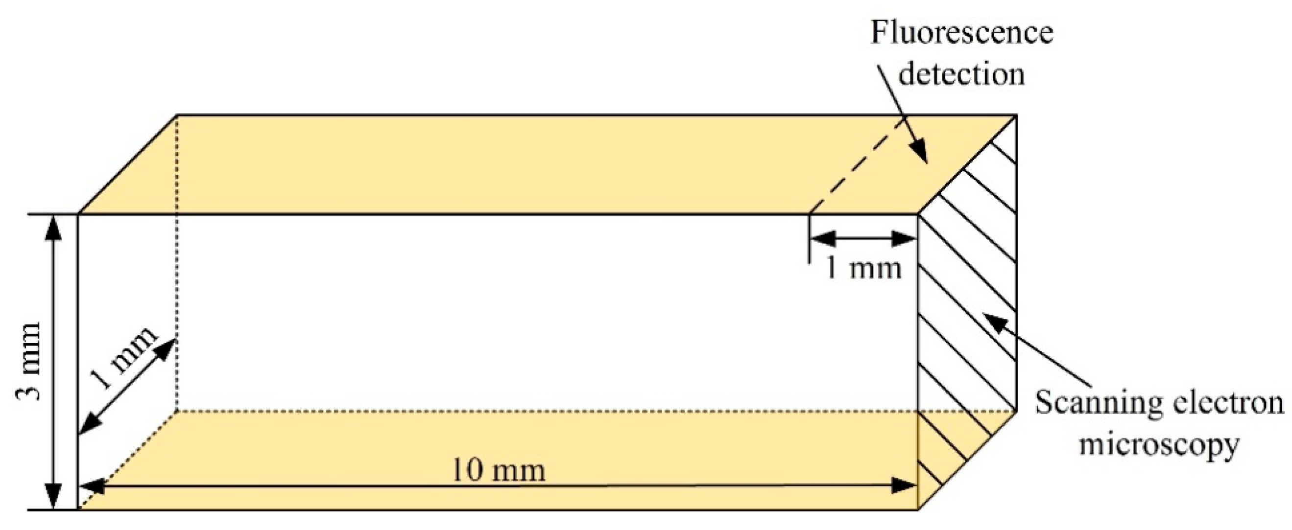Coatings 10 00754 g001