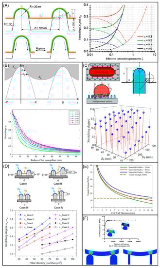 Coatings 10 00756 g002