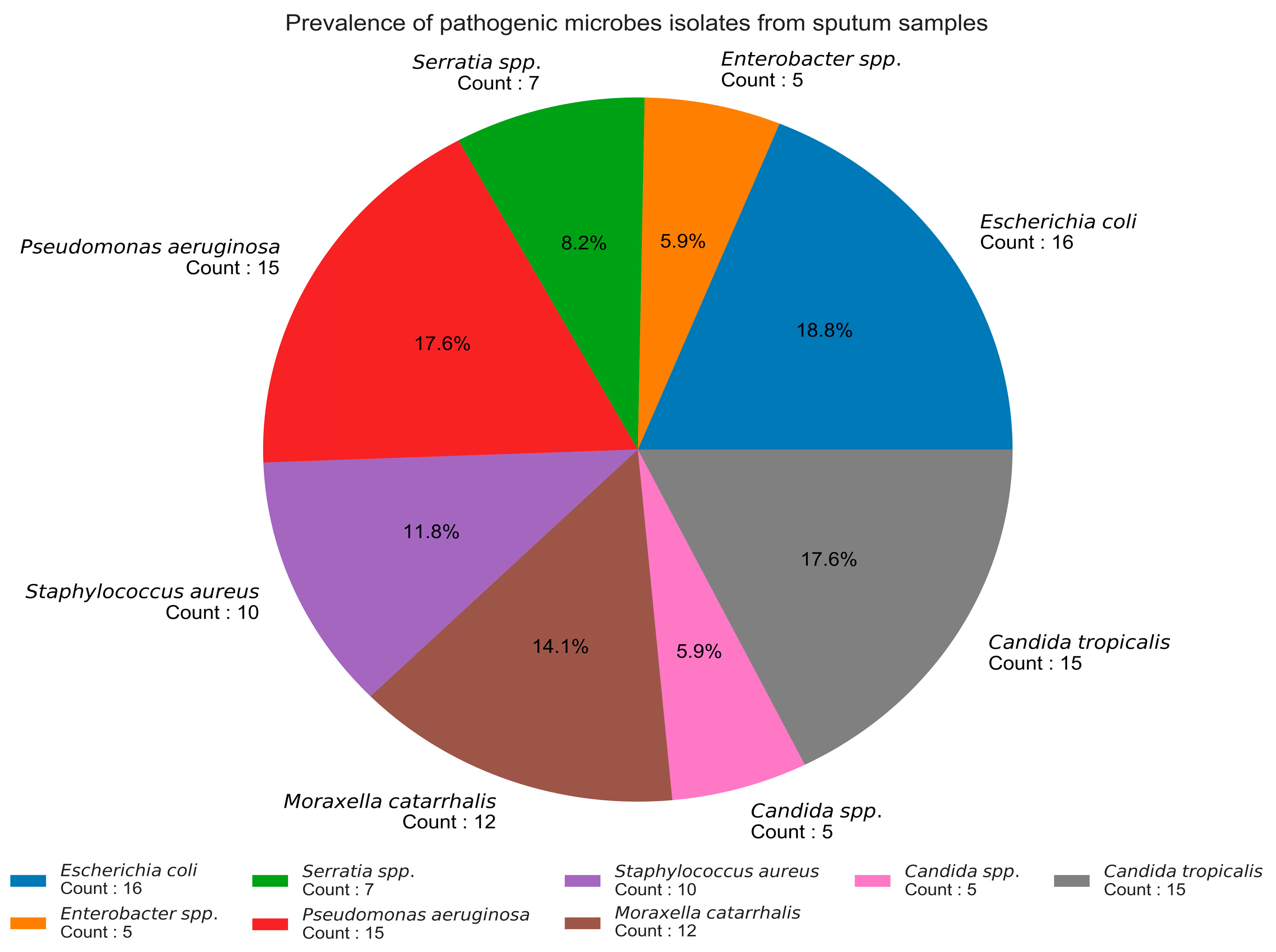 Coatings 10 00761 g001