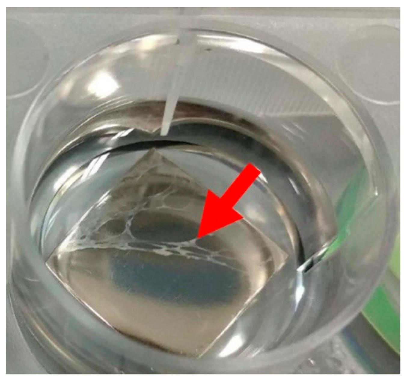 Coatings 10 00762 g005