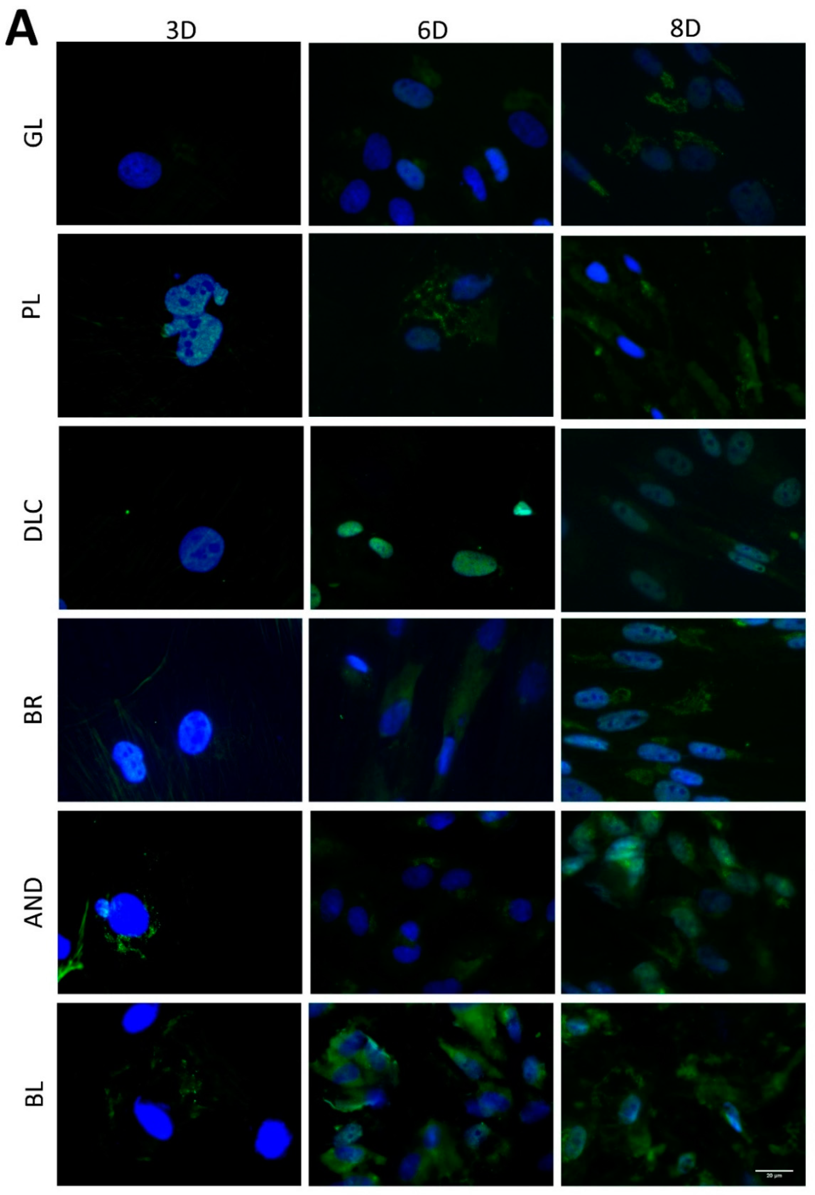 Coatings 10 00762 g007a