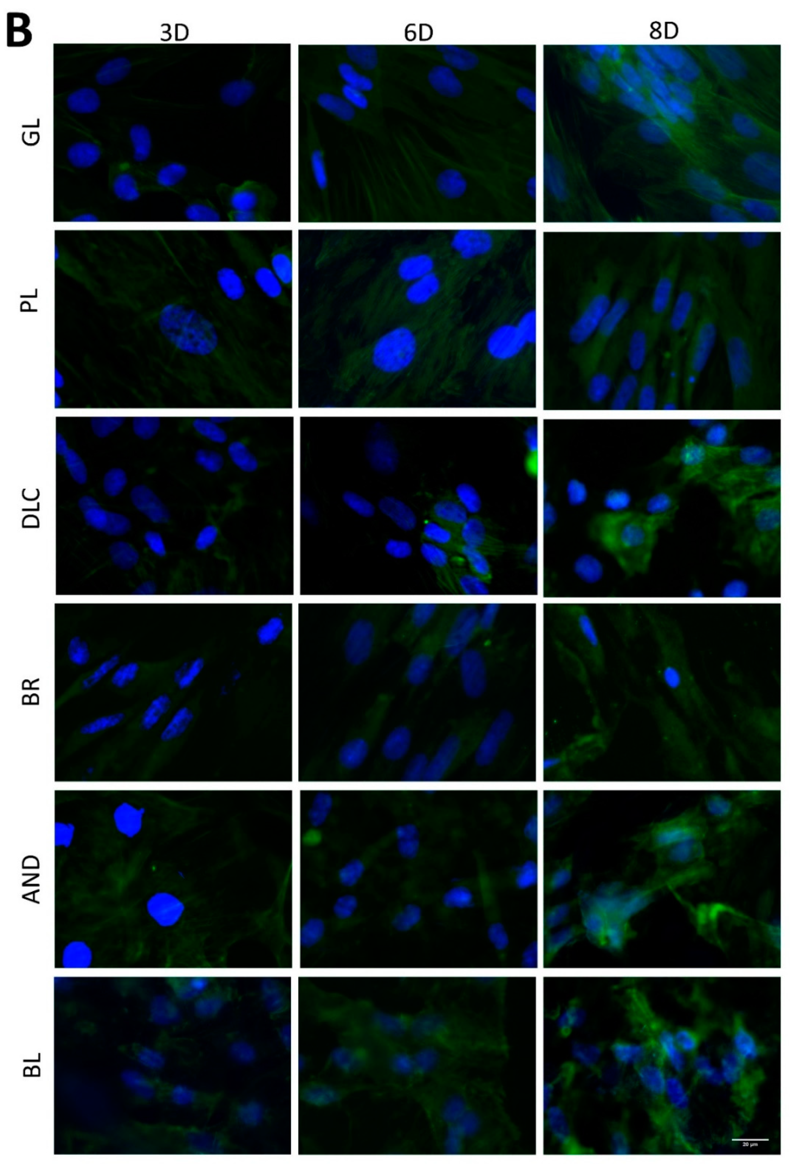 Coatings 10 00762 g007b