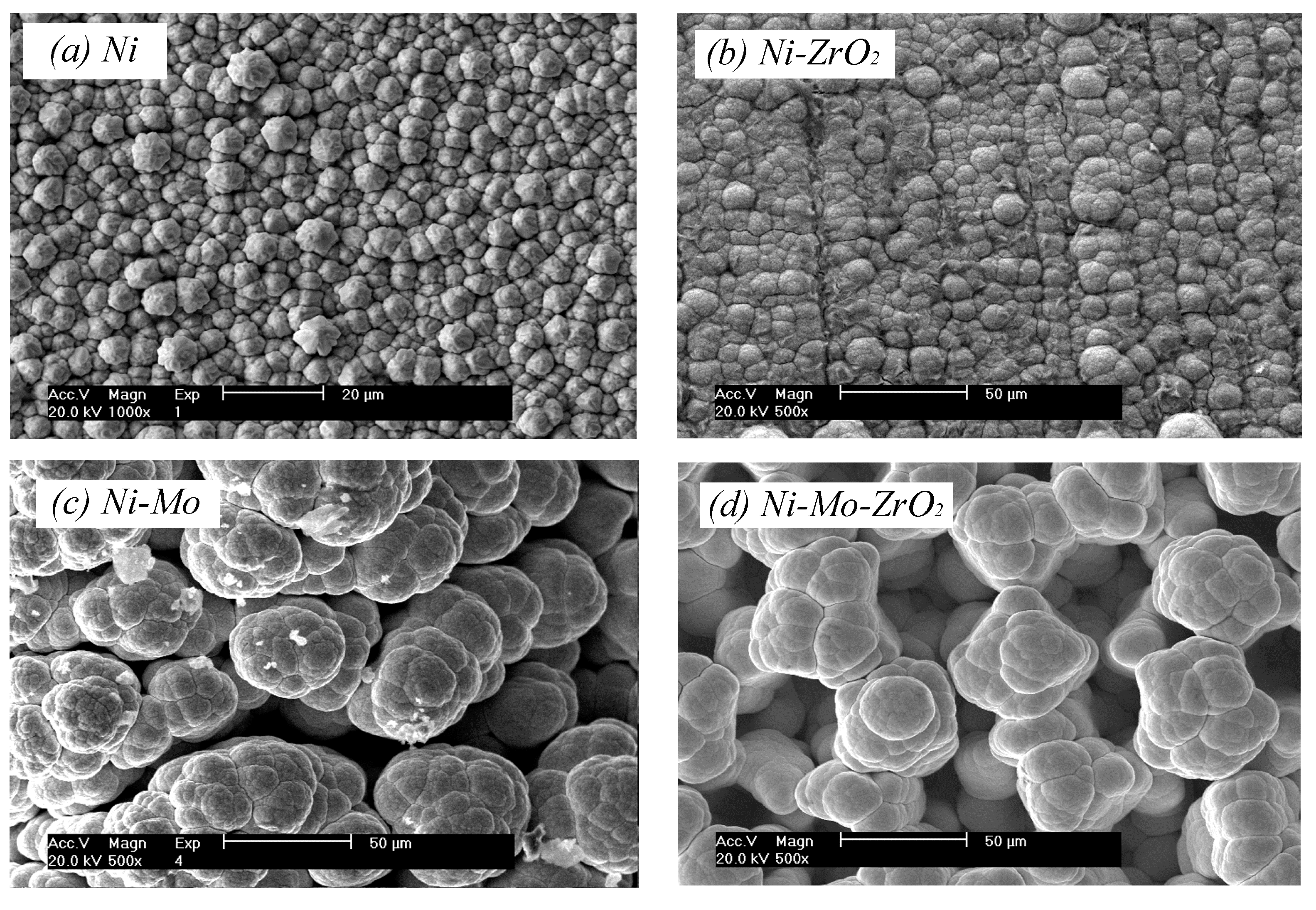 Coatings 10 00767 g002 Coatings 10 00767 g002