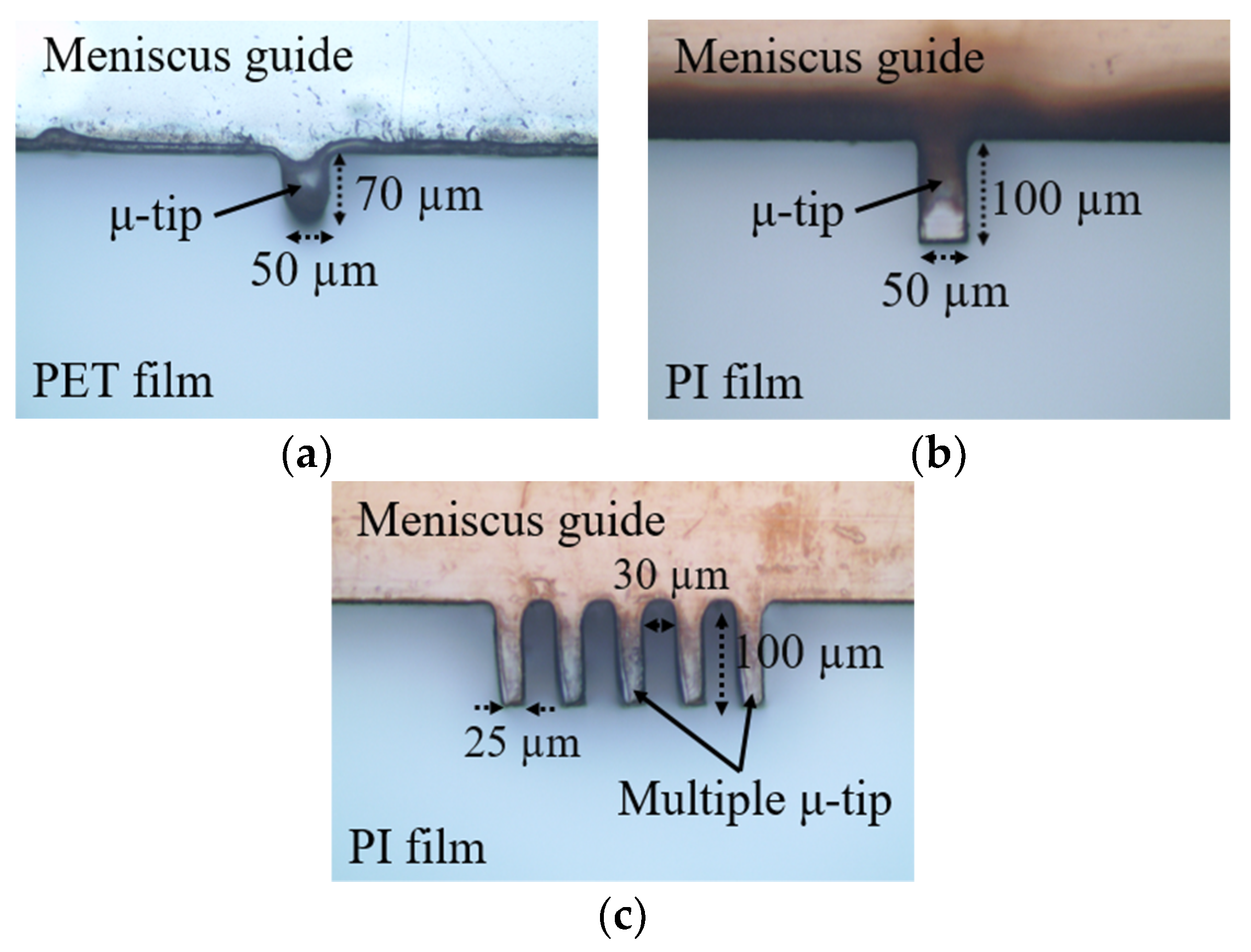 Coatings 10 00772 g004