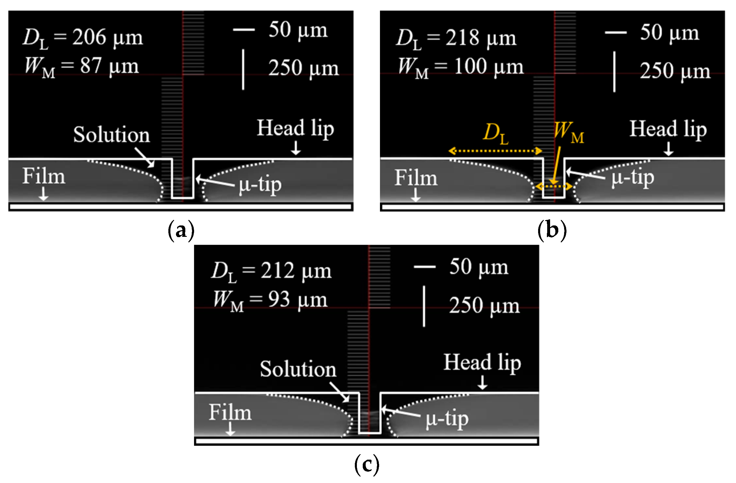 Coatings 10 00772 g006