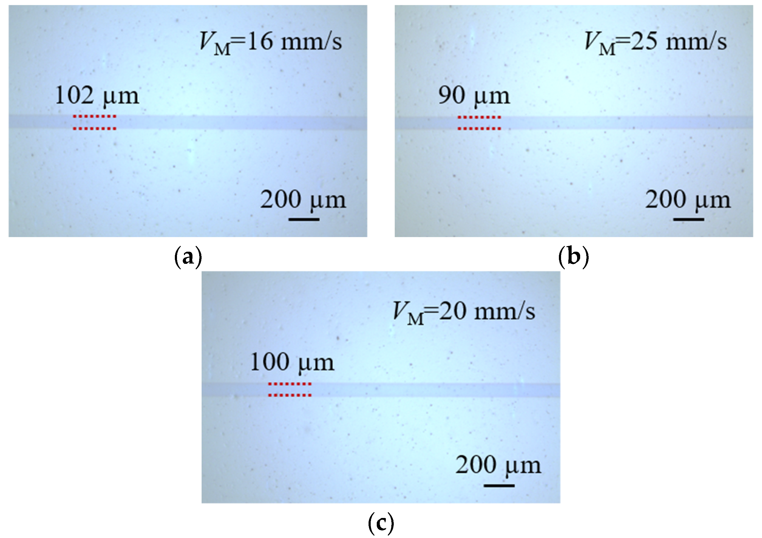 Coatings 10 00772 g007