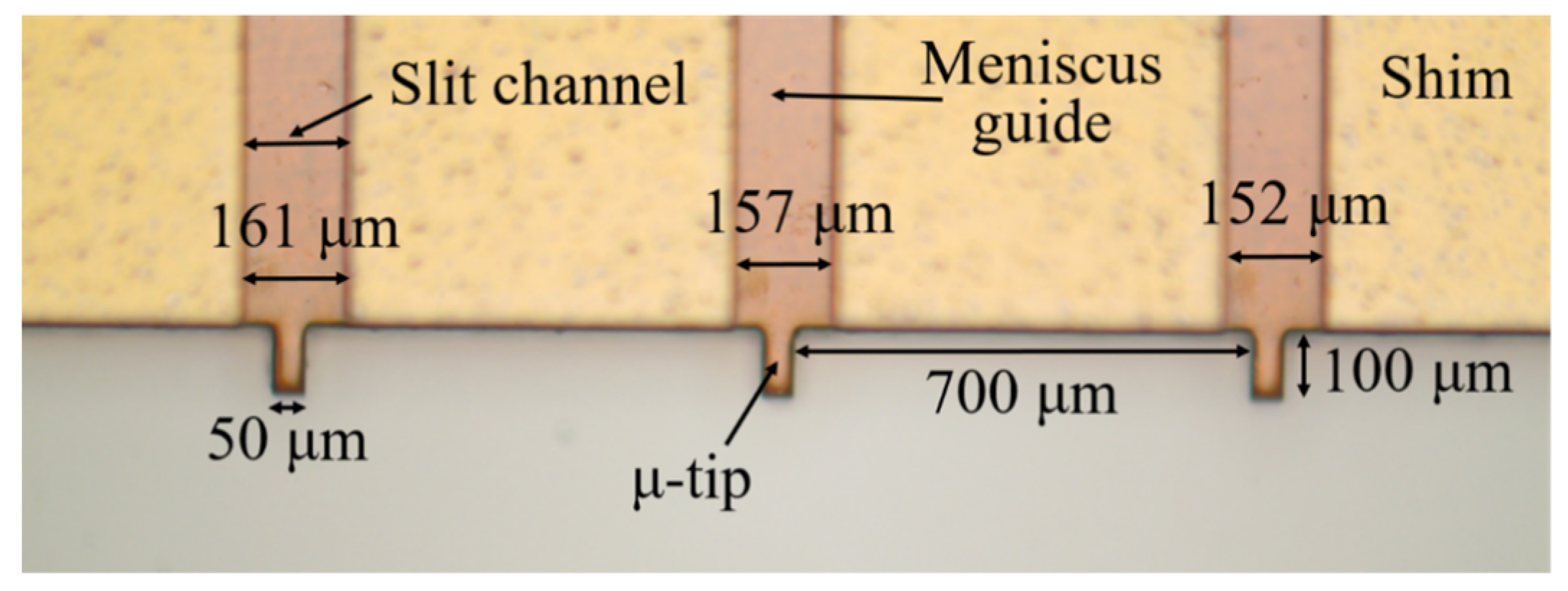 Coatings 10 00772 g009