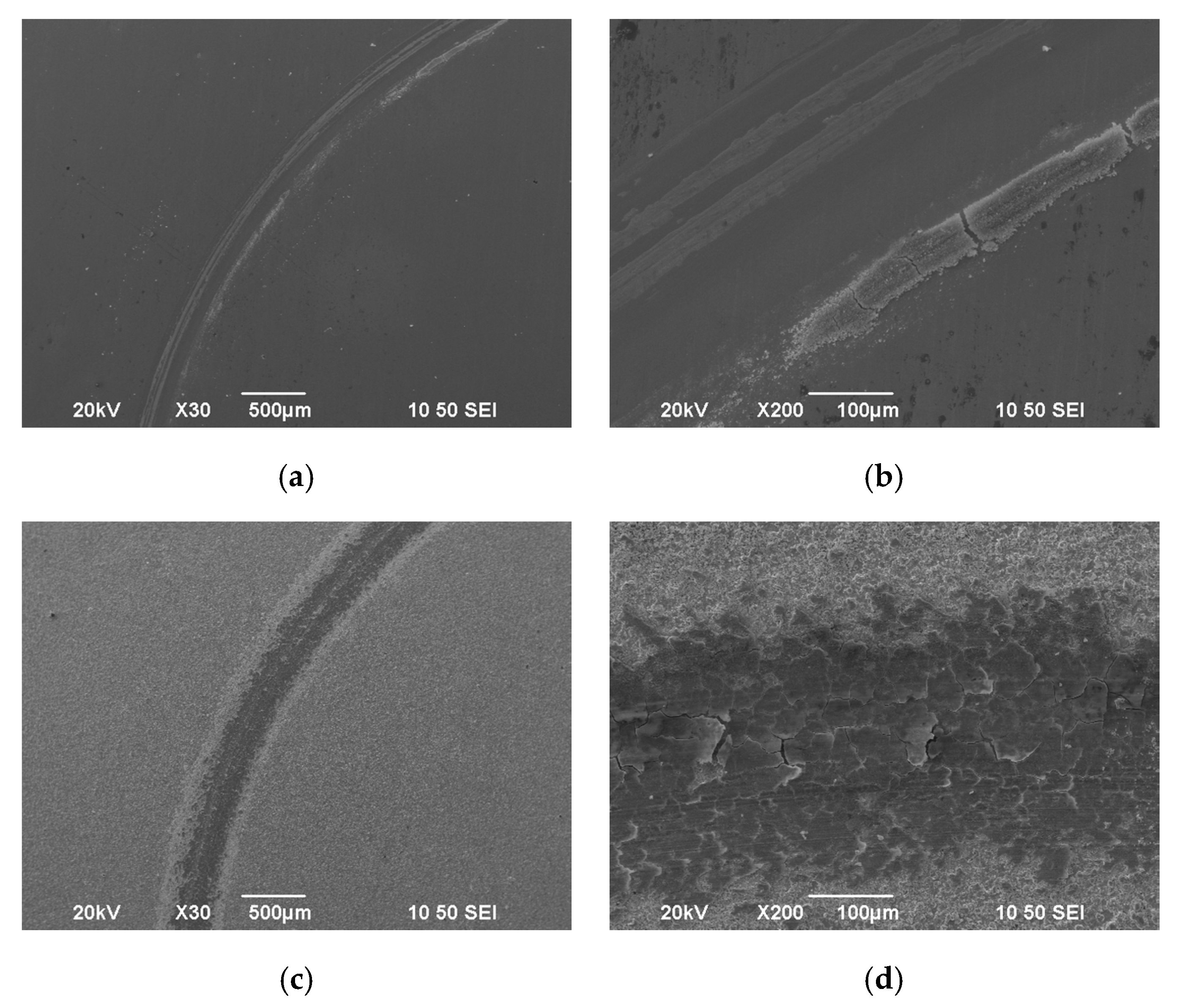 Coatings 10 00775 g013 Coatings 10 00775 g013