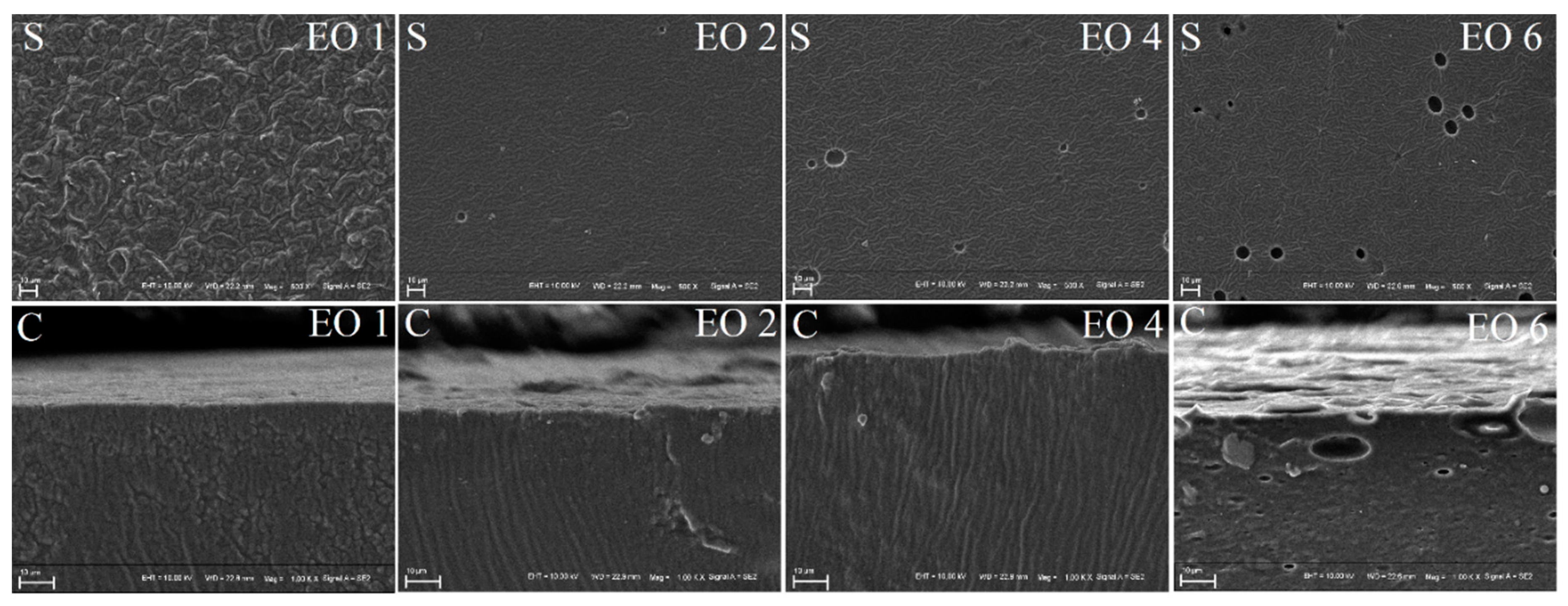 Coatings 10 00784 g005
