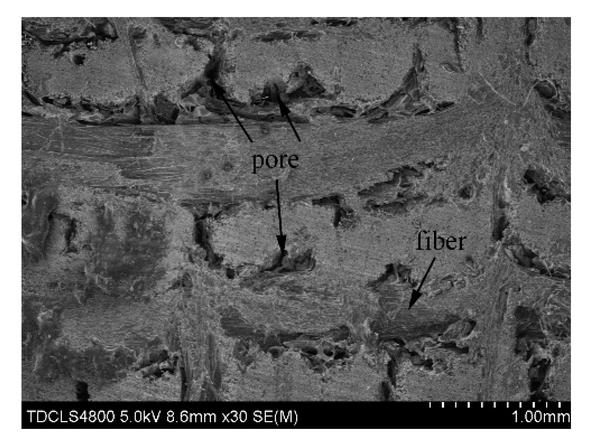 Coatings 10 00787 g005