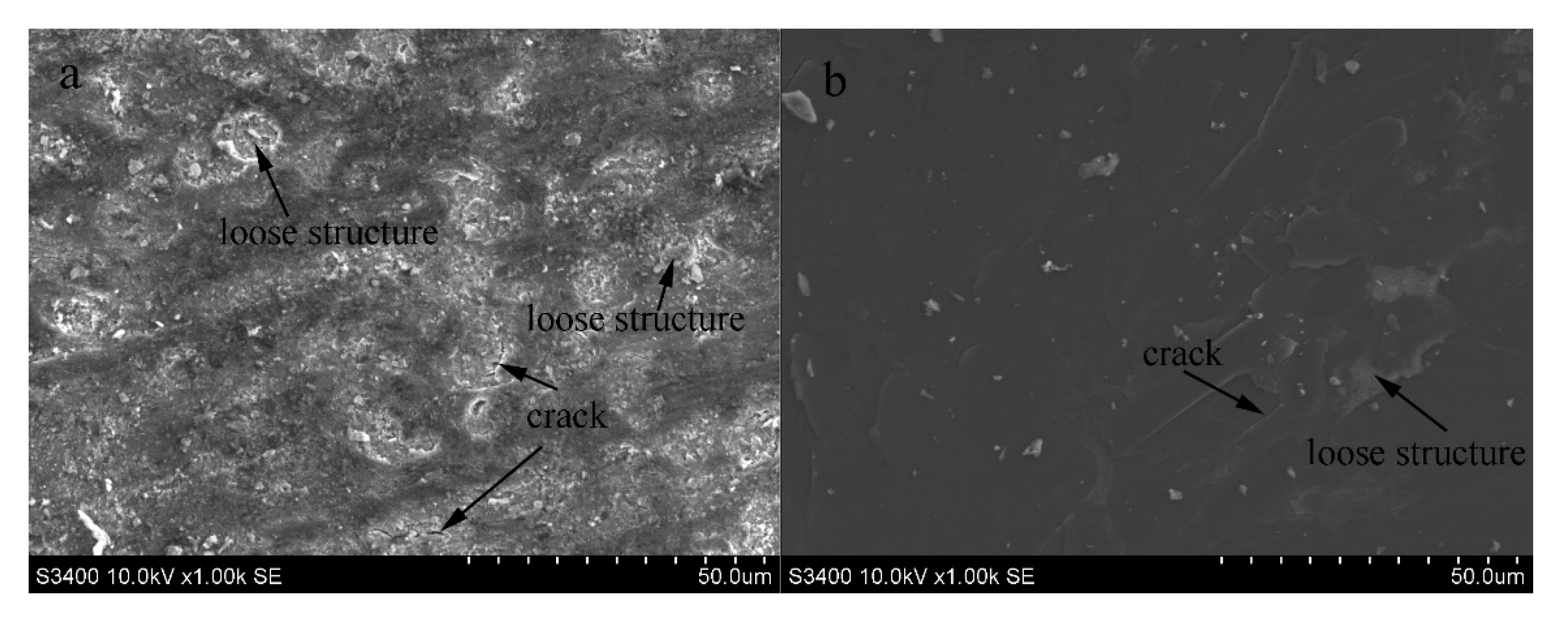 Coatings 10 00787 g006