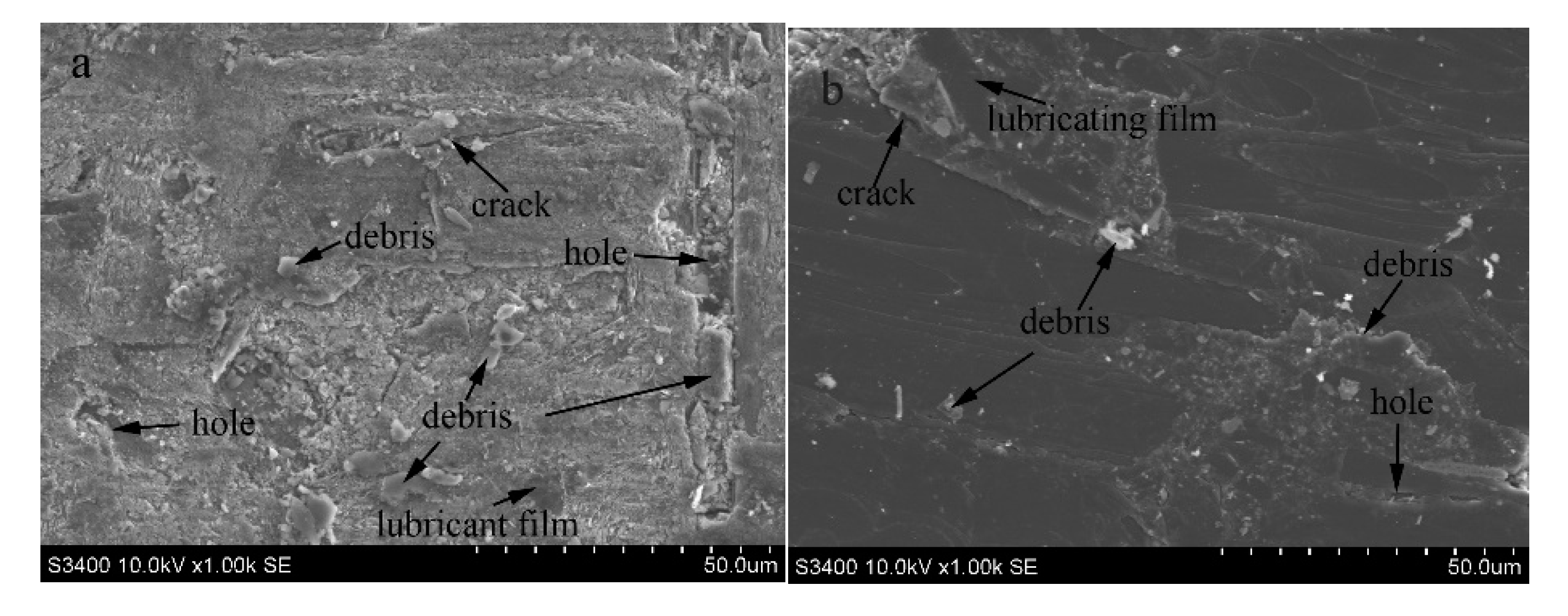 Coatings 10 00787 g010