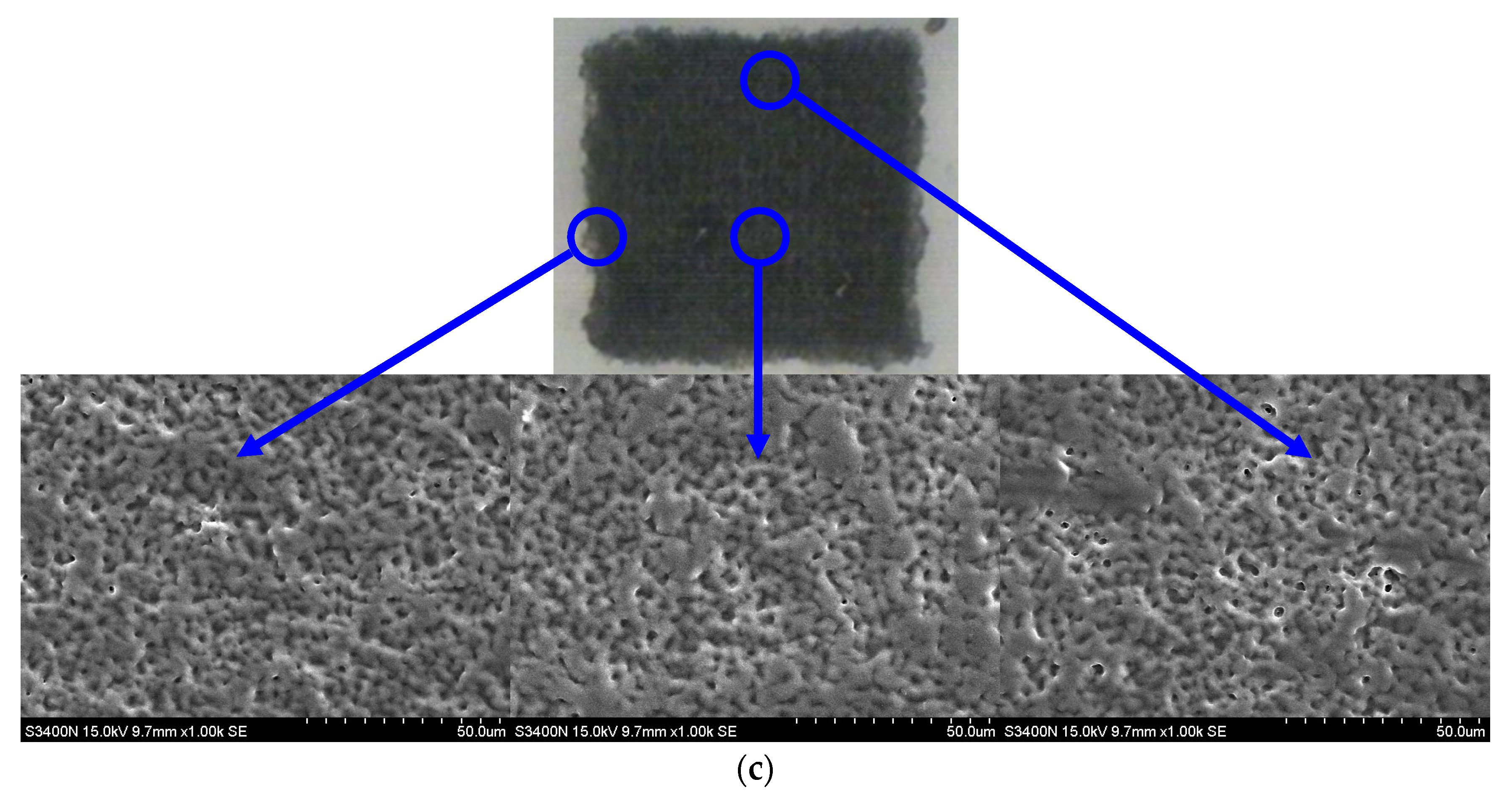 Coatings 10 00792 g004b