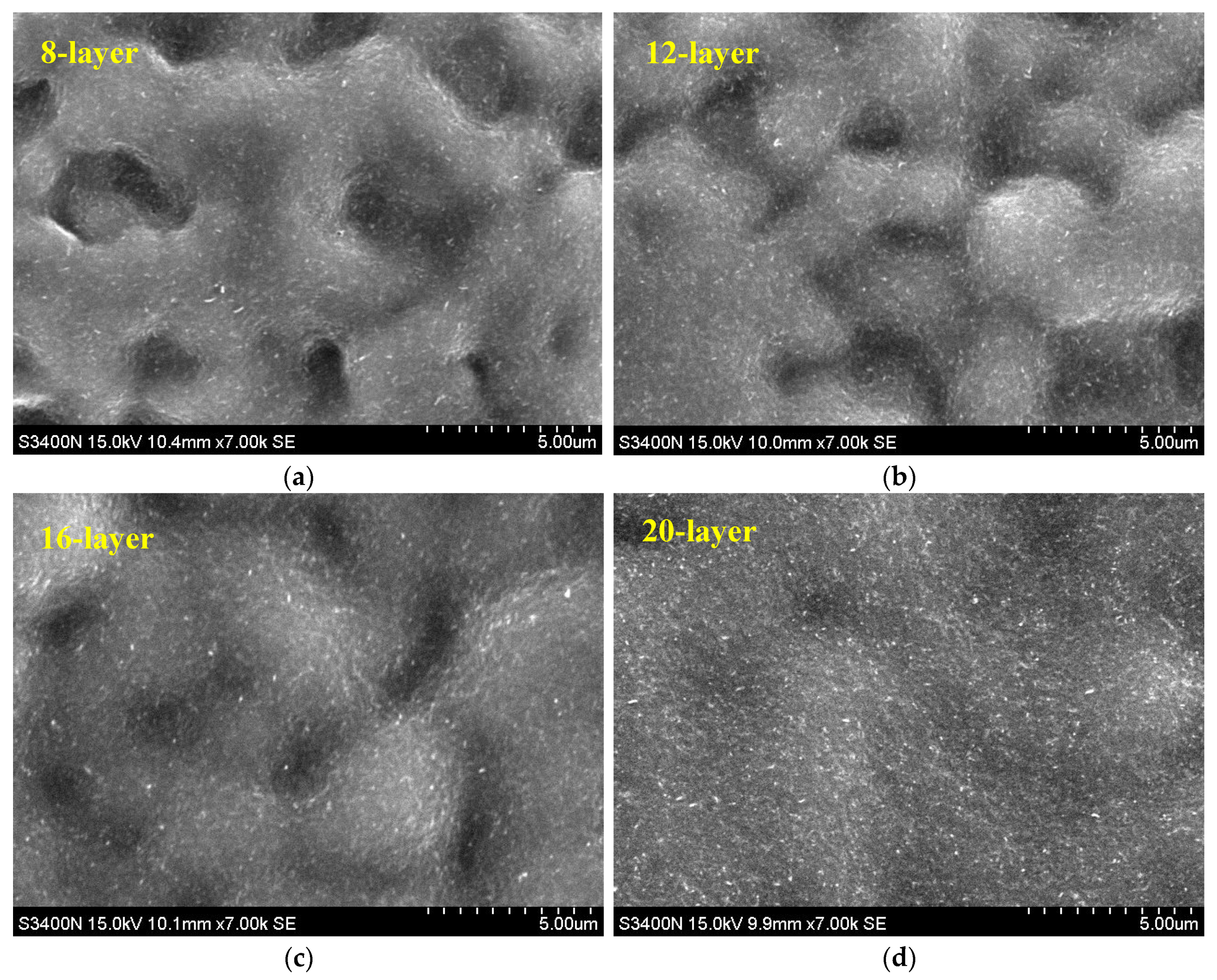 Coatings 10 00792 g007